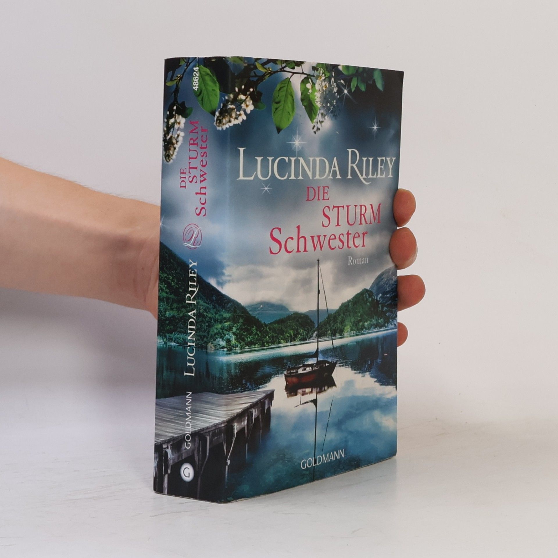 Lucinda Riley Die Sturmschwester