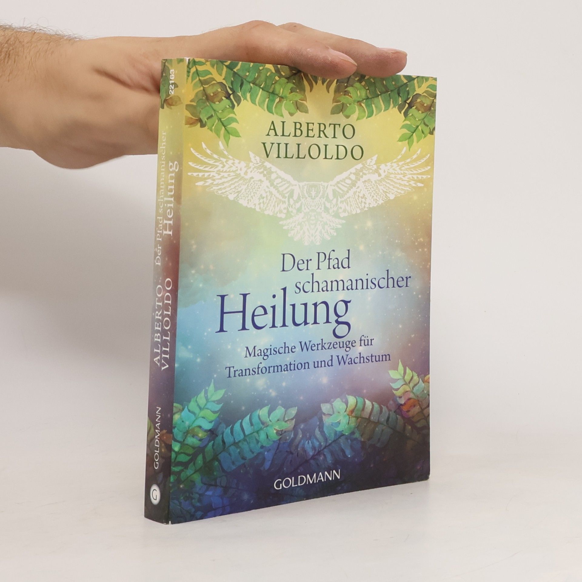 Der Pfad schamanischer Heilung