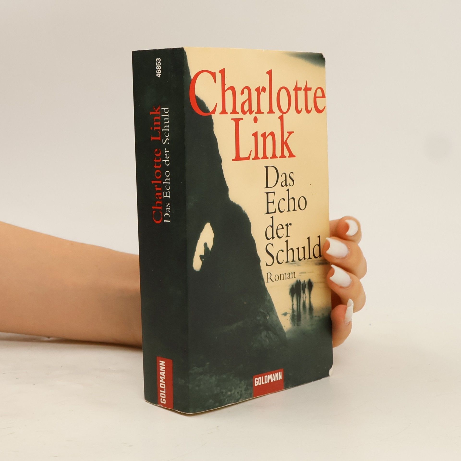 Charlotte Link Das Echo der Schuld