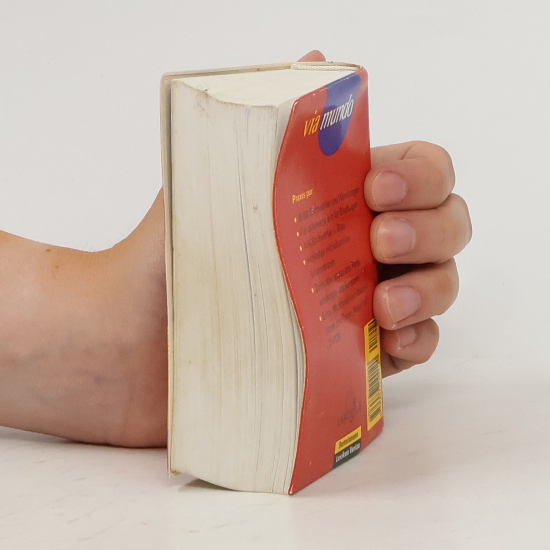 Patricia Abbou Basiswörterbuch englisch-deutsch, deutsch-englisch