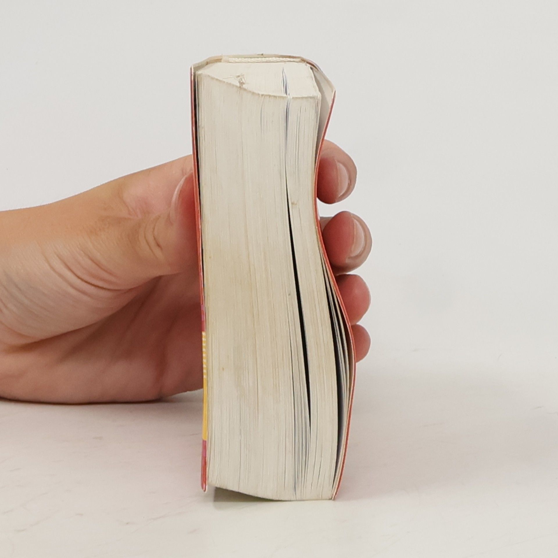 Patricia Abbou Basiswörterbuch englisch-deutsch, deutsch-englisch