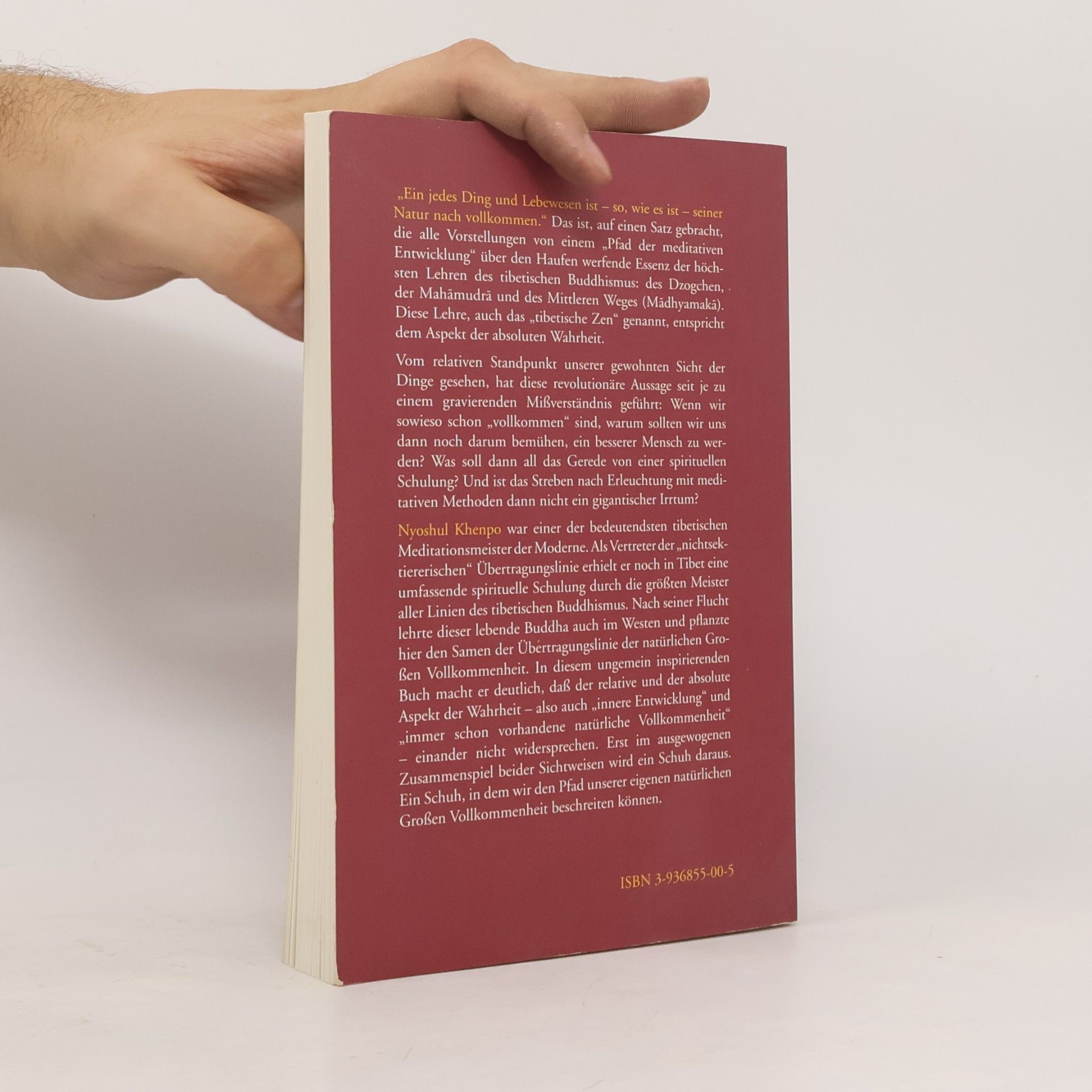 Nyoshul Khenpo Der Buddha im Inneren