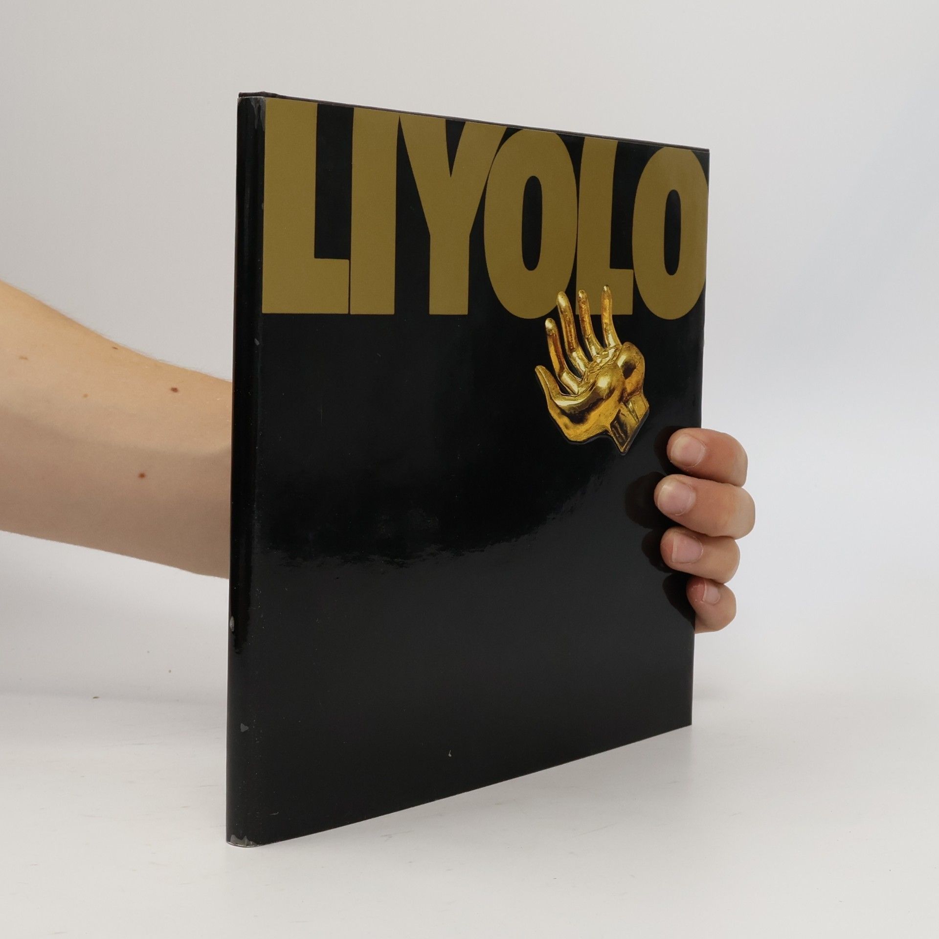 Autorenkollektiv Liyolo