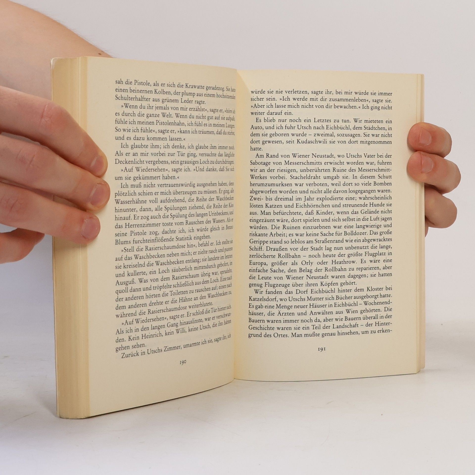 John Irving Eine Mittelgewichtsehe