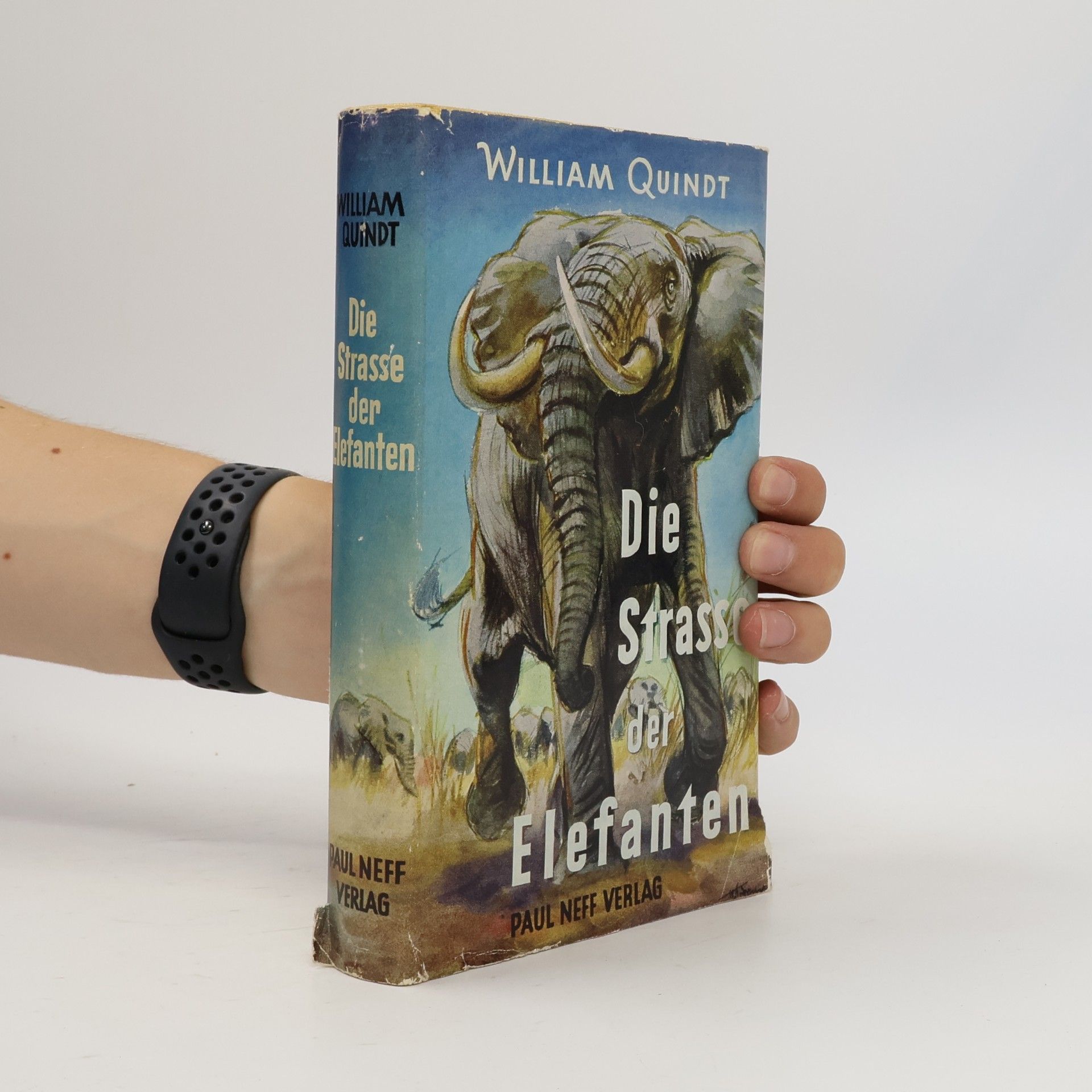 William Quindt Die Strasse der Elefanten
