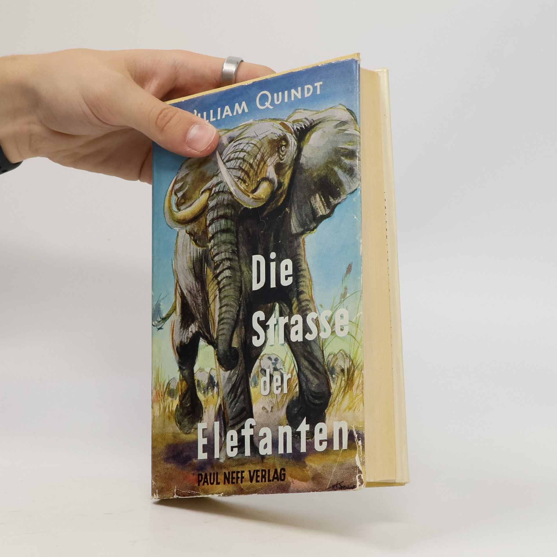 William Quindt Die Strasse der Elefanten