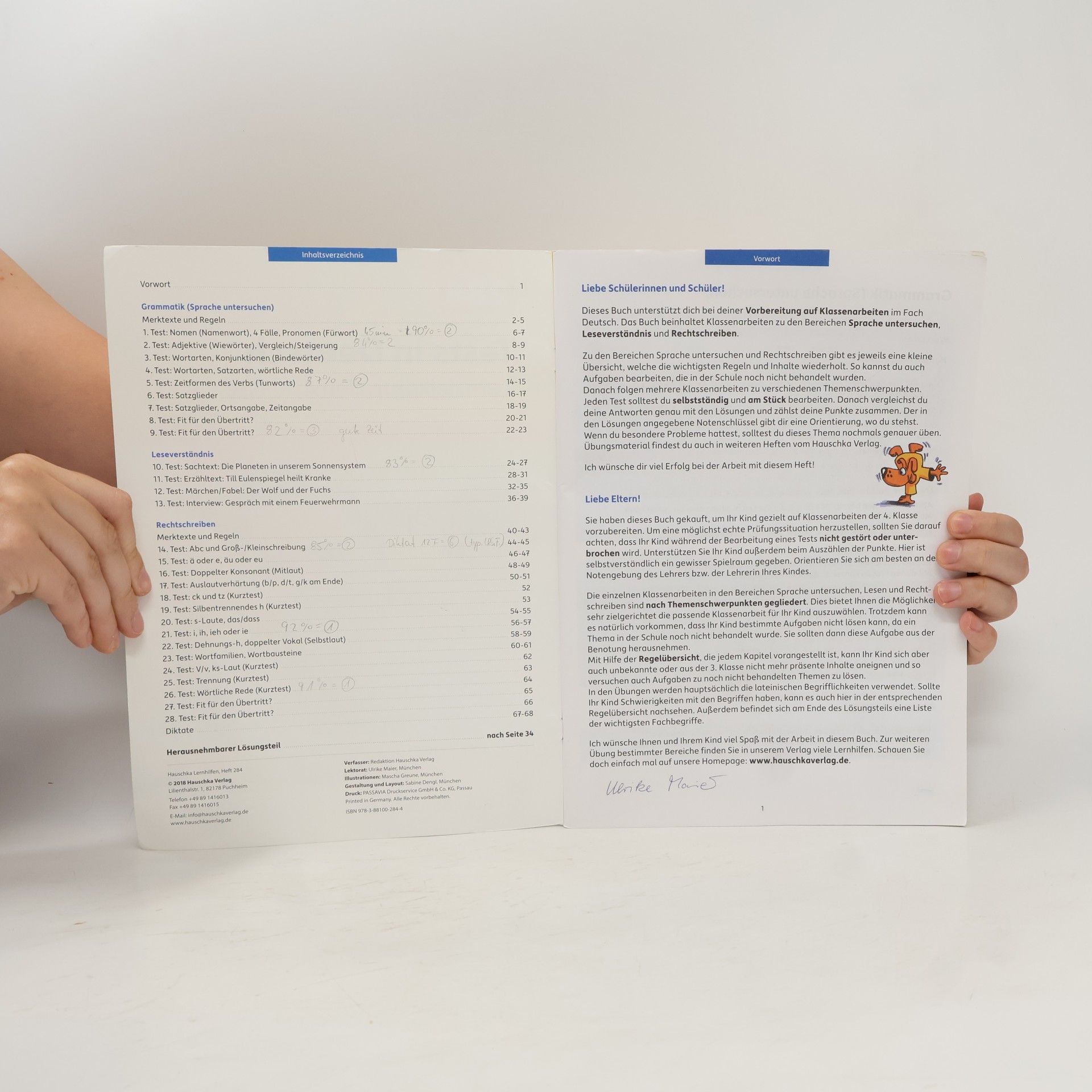 Ulrike Maier Tests in Deutsch. Lernzielkontrollen 4. Klasse