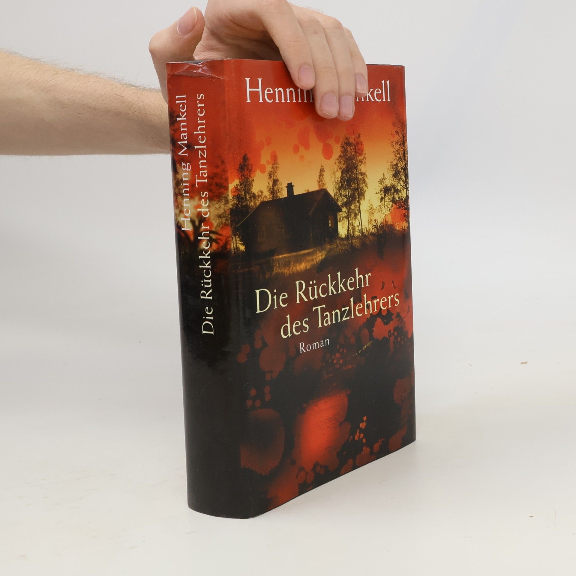 Henning Mankell Die Rückkehr des Tanzlehrers