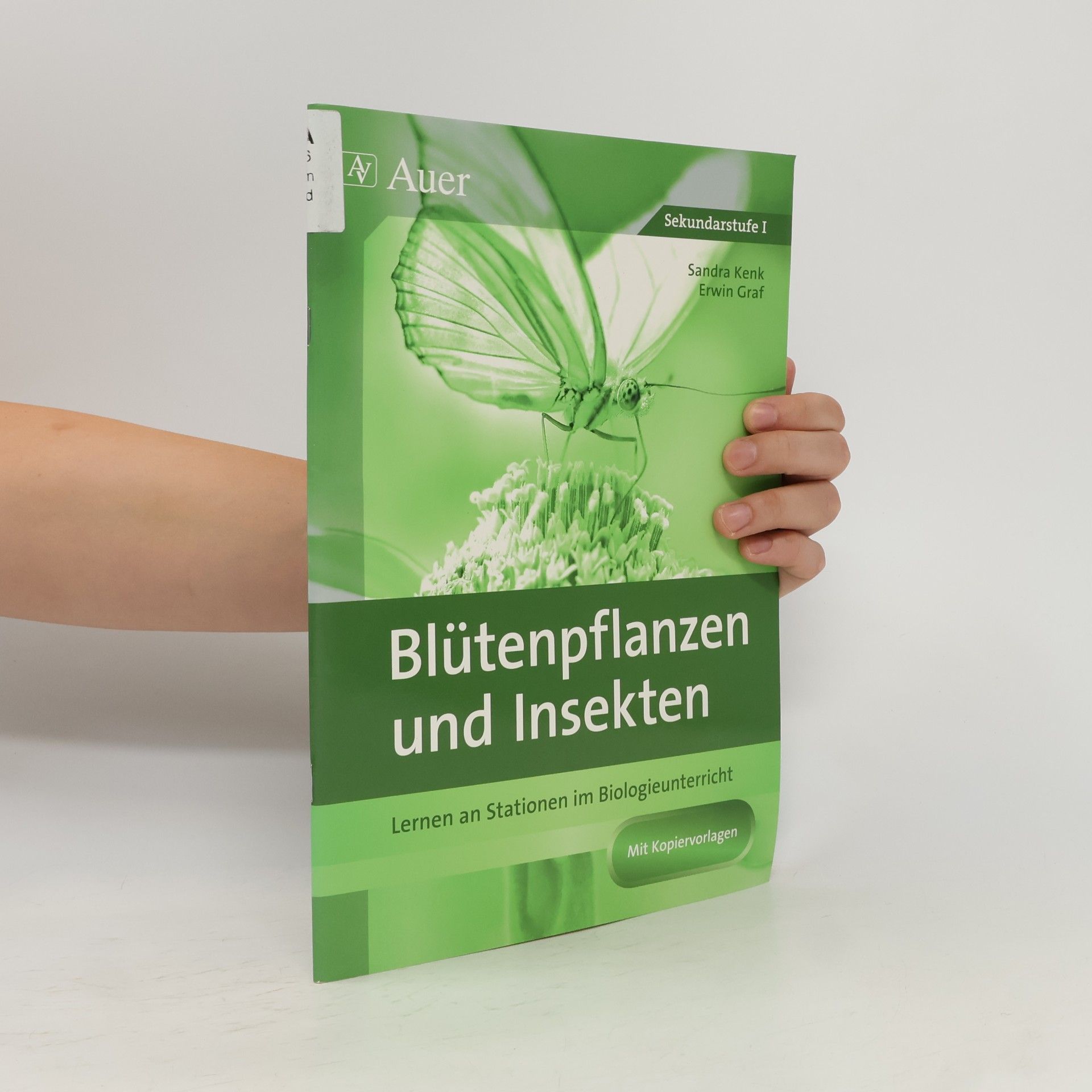 Blütenpflanzen und Insekten