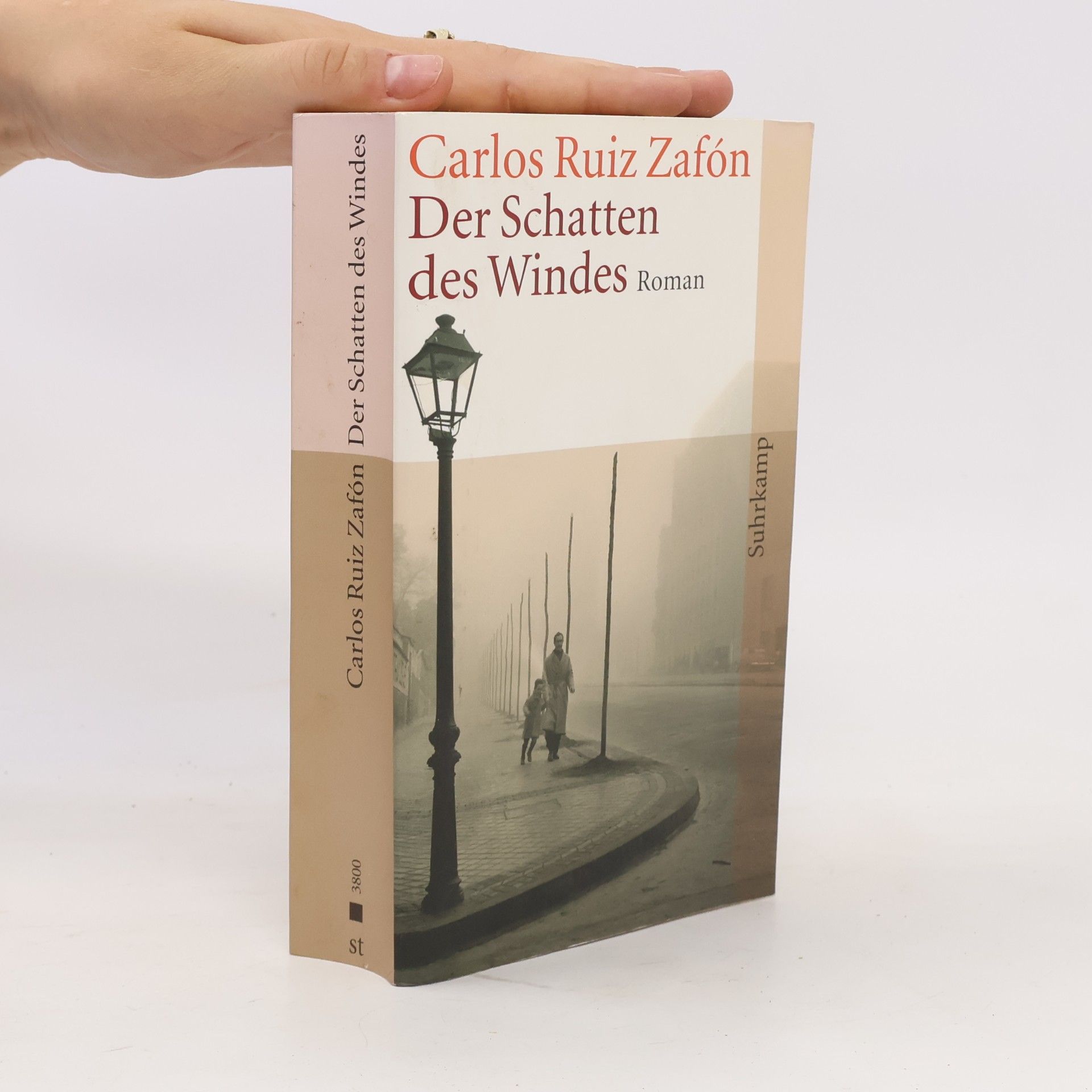 Carlos Ruiz Zafón Der Schatten des Windes