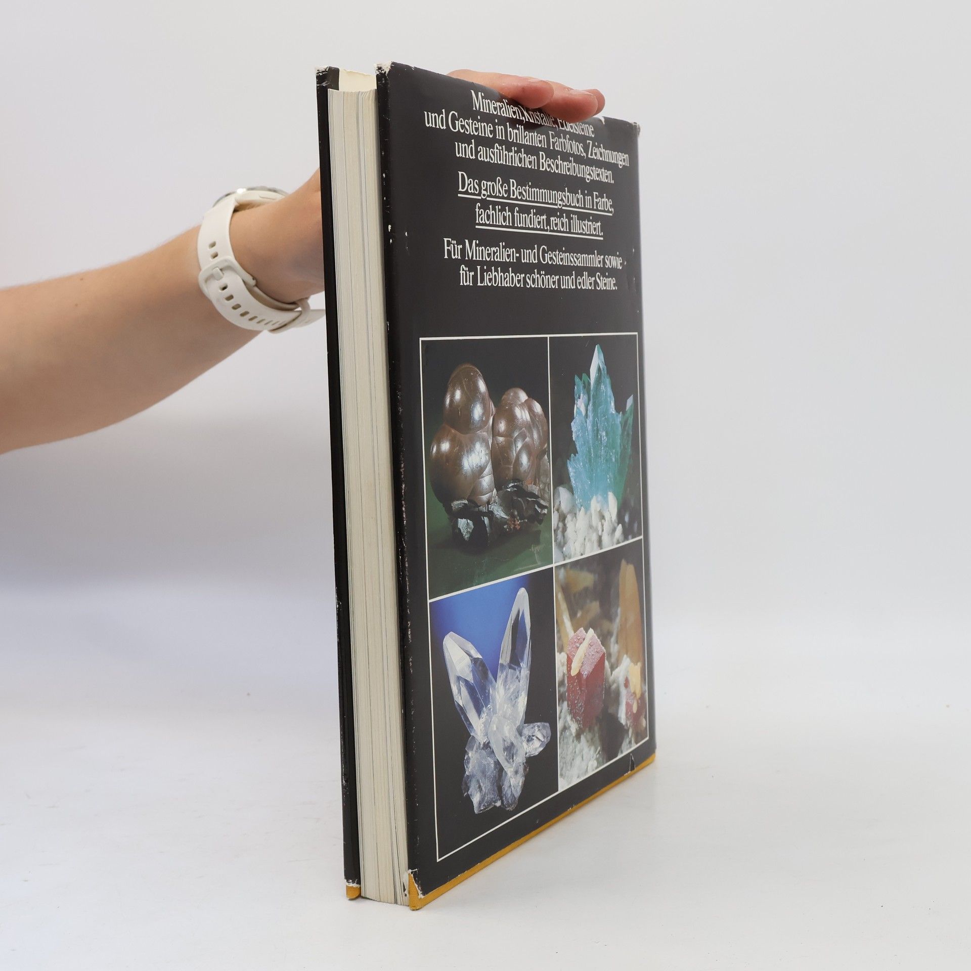 Rupert Hochleitner Fotoatlas der Mineralien und Gesteine