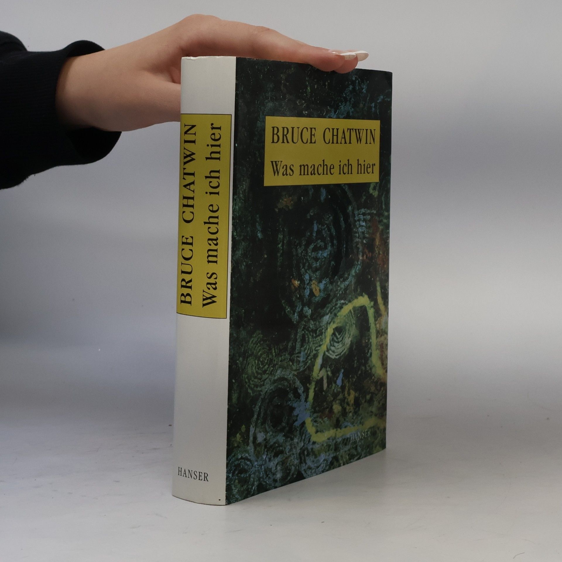 Bruce Chatwin Was mache ich hier