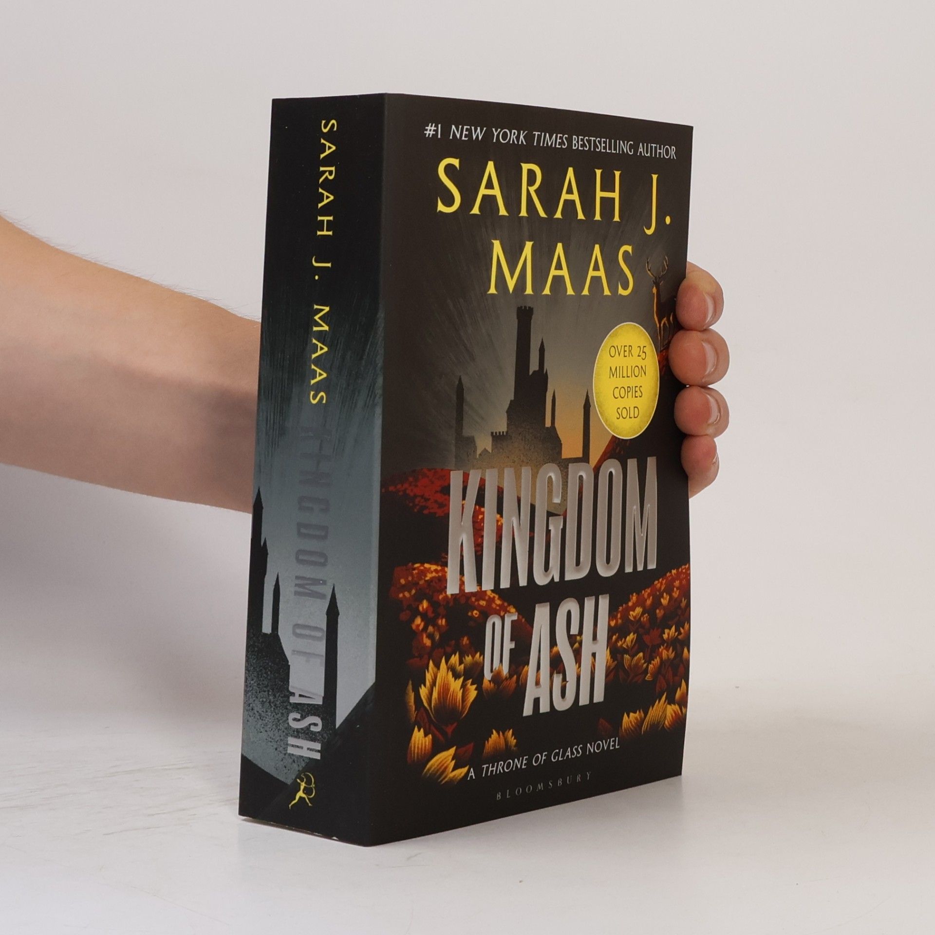 Sarah J. Maas Kingdom of Ash