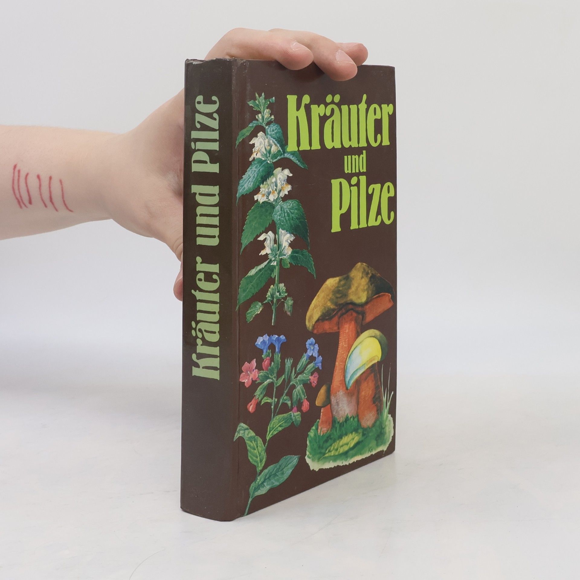 Collectif d'auteurs Kräuter und Pilze