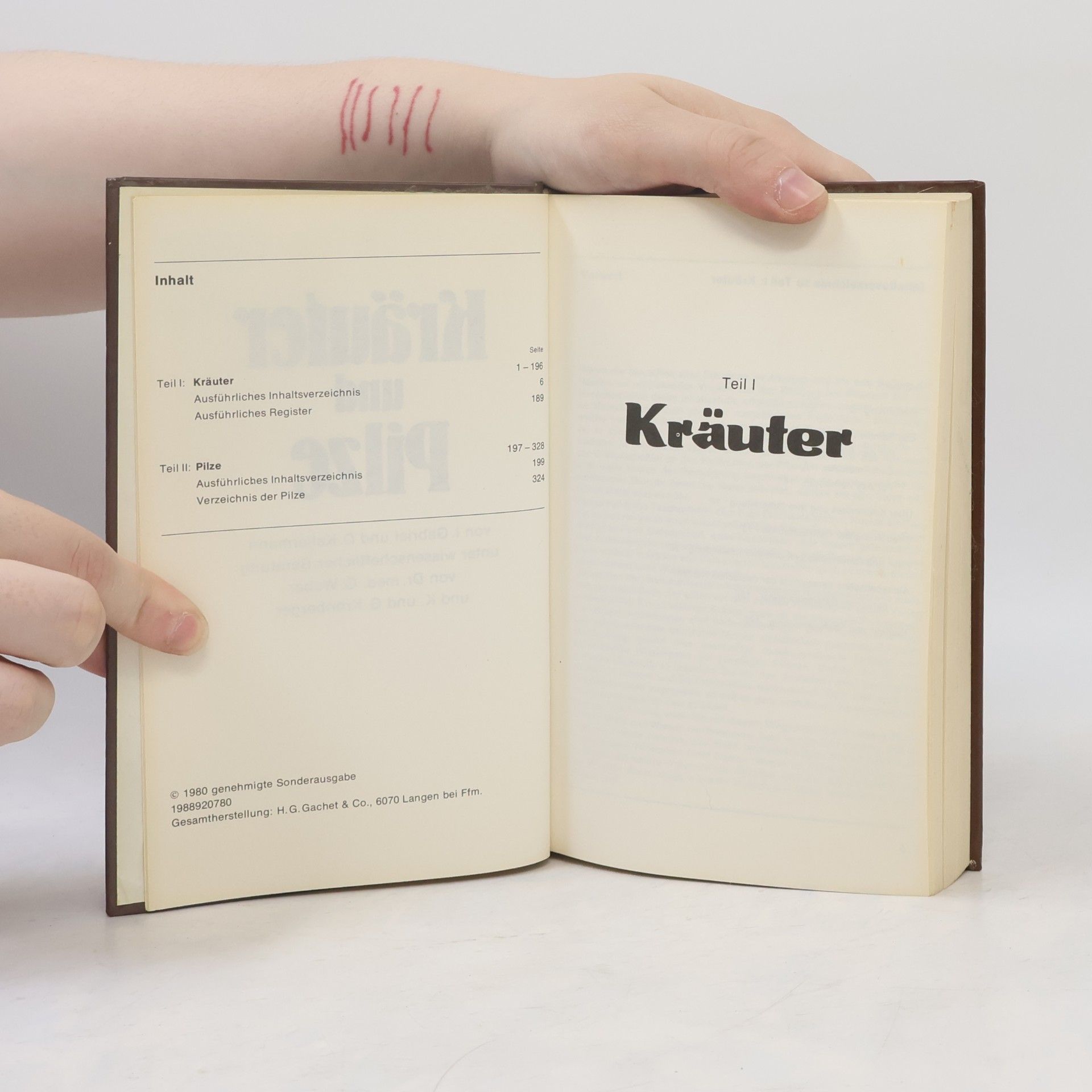 Collectif d'auteurs Kräuter und Pilze