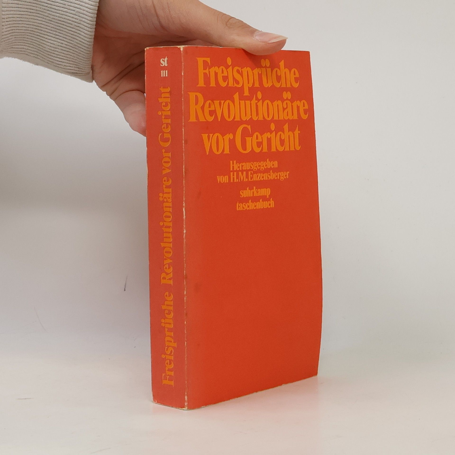 Hans Magnus Enzensberger Freisprüche