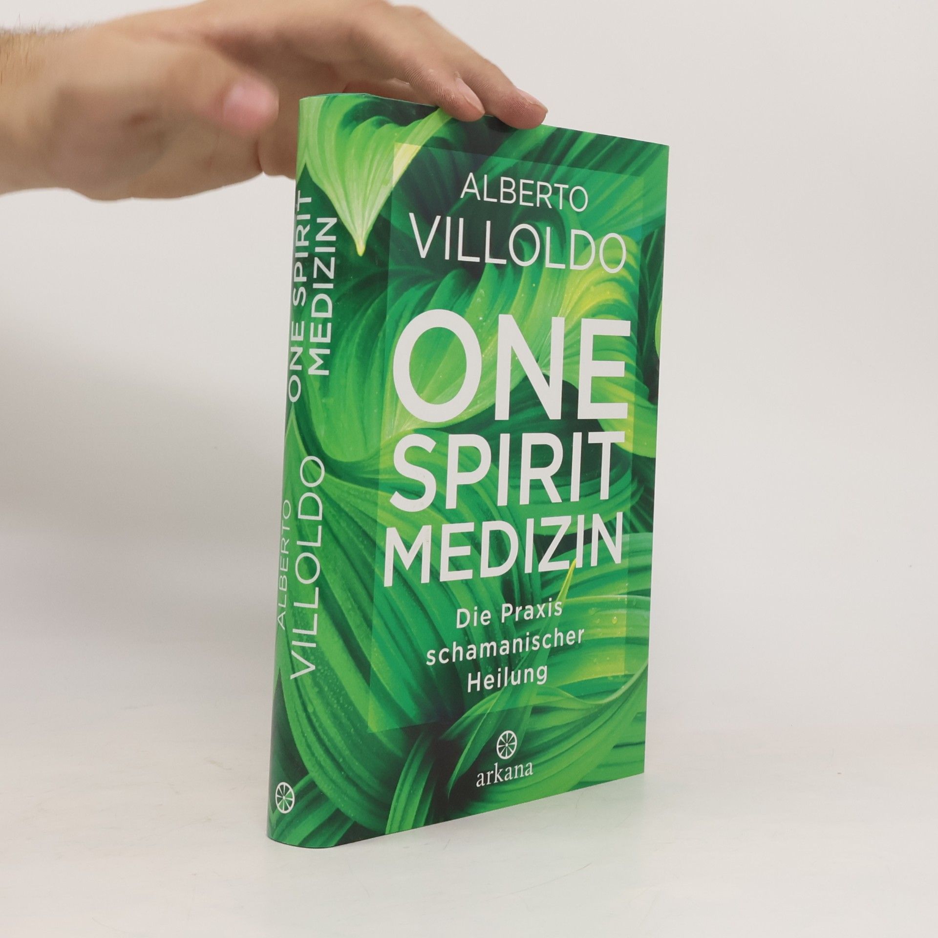 Alberto Villoldo One Spirit Medizin