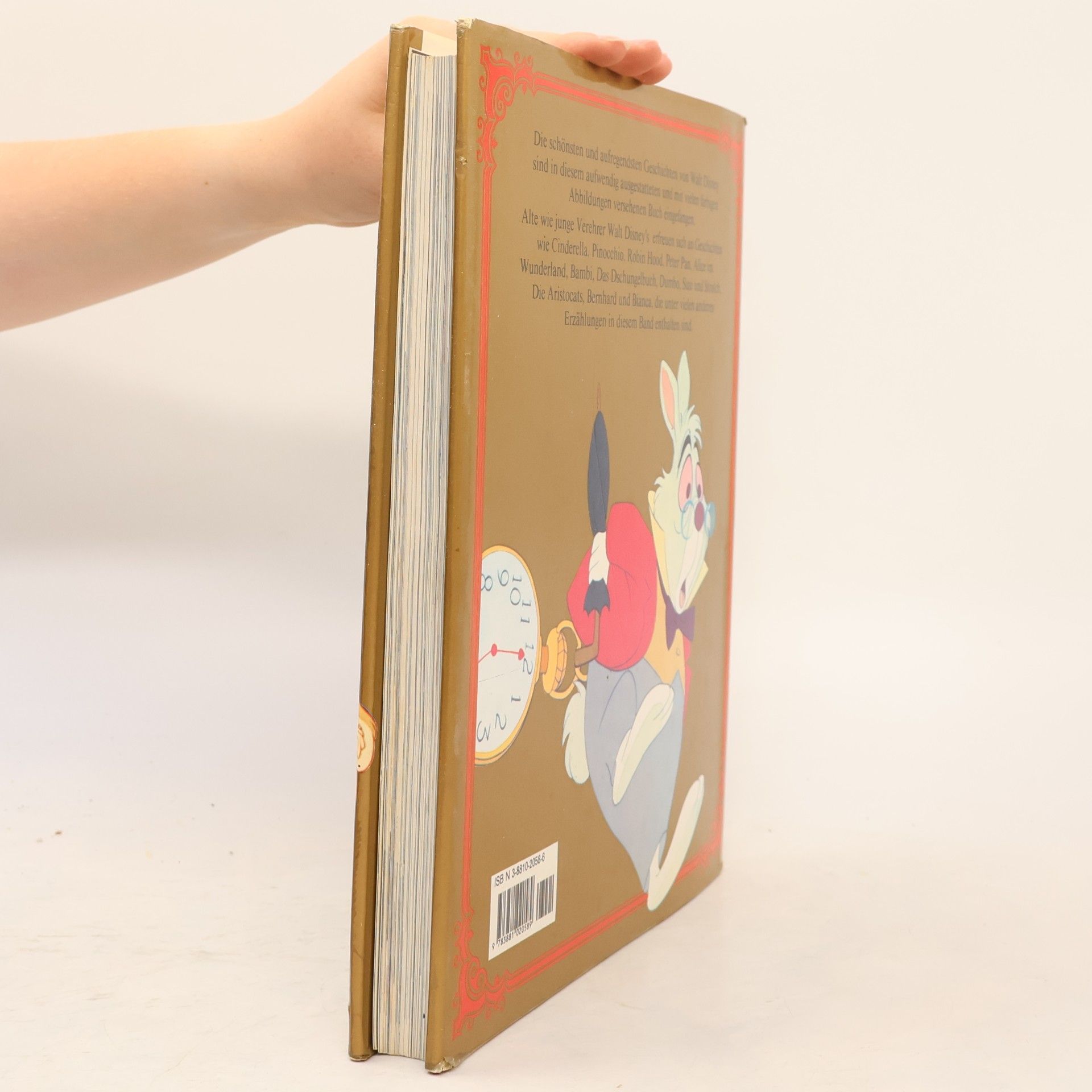 Autorenkollektiv Große bunte Märchenwelt