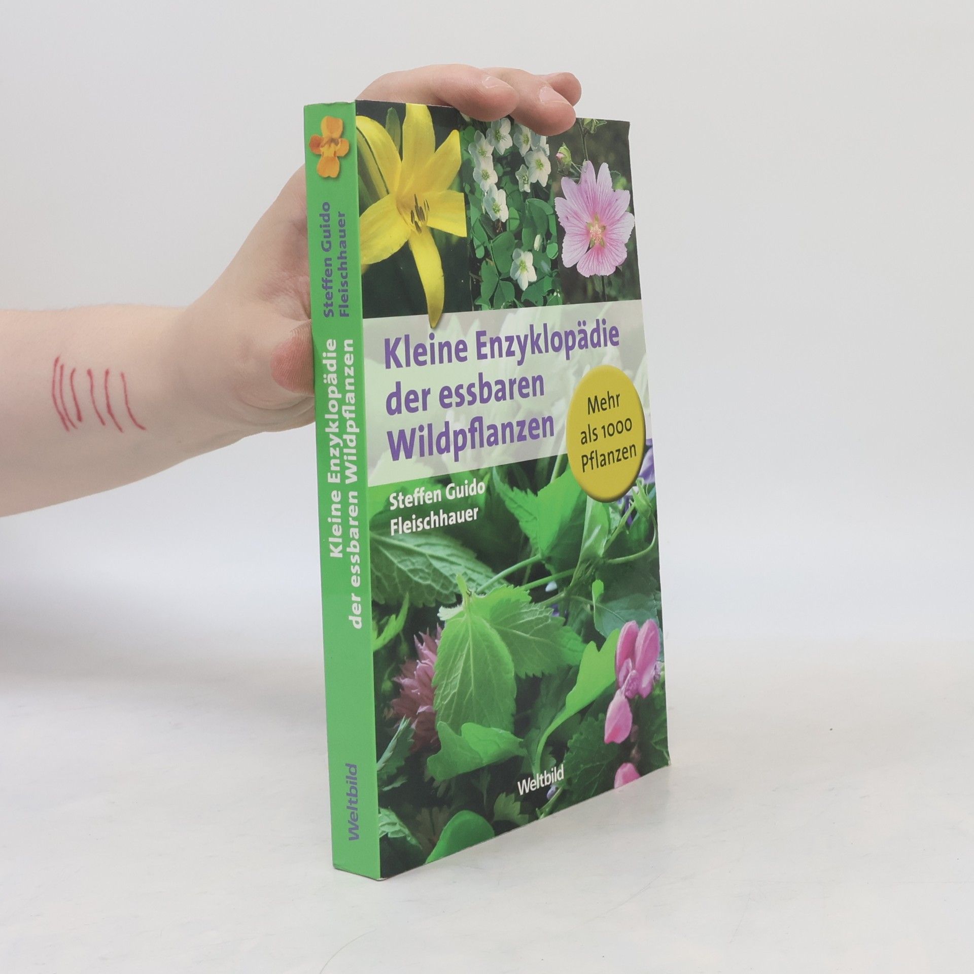 Steffen Guido Fleischhauer Kleine Enzyklopädie der essbaren Wildpflanzen