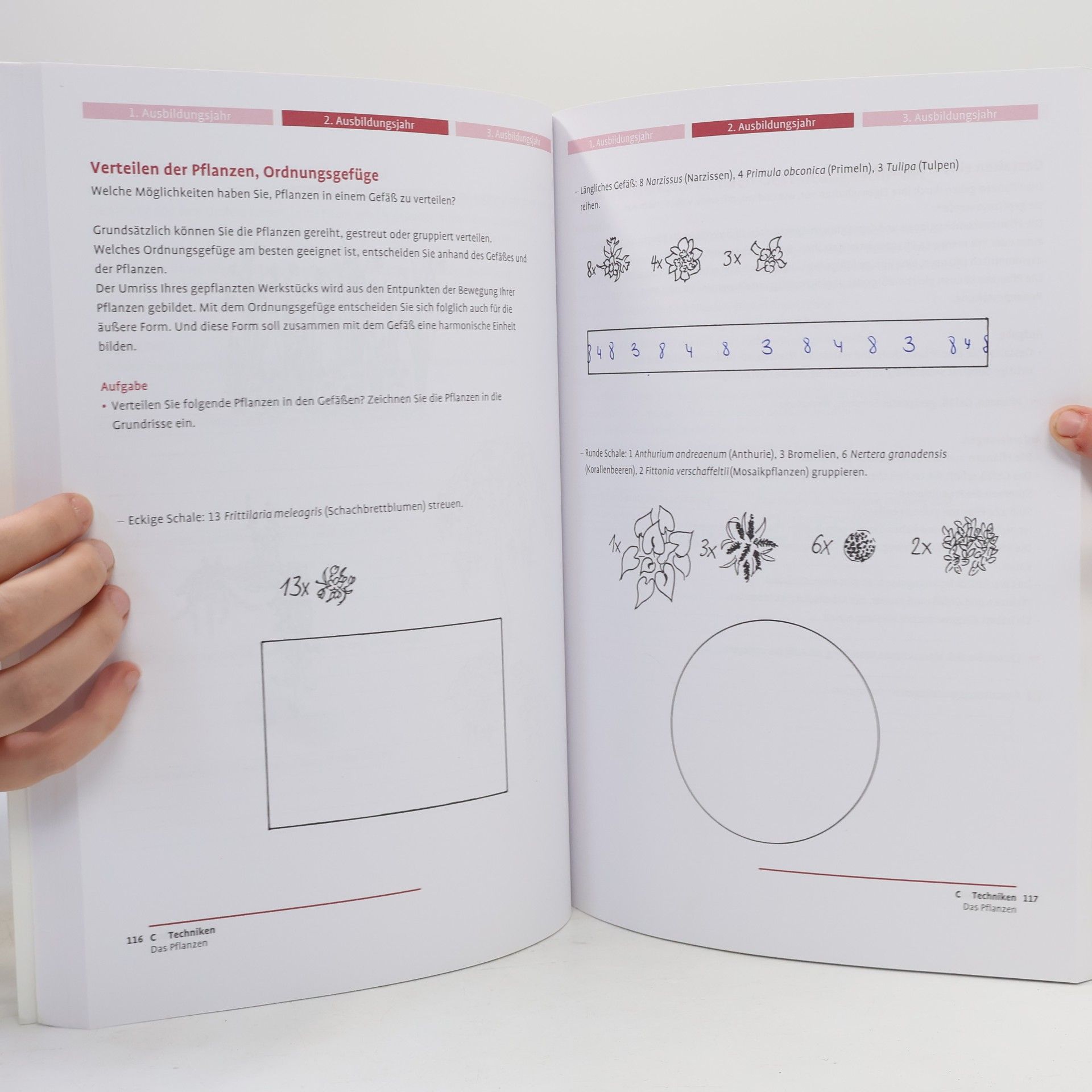 Birgit Barth Das Praxishandbuch