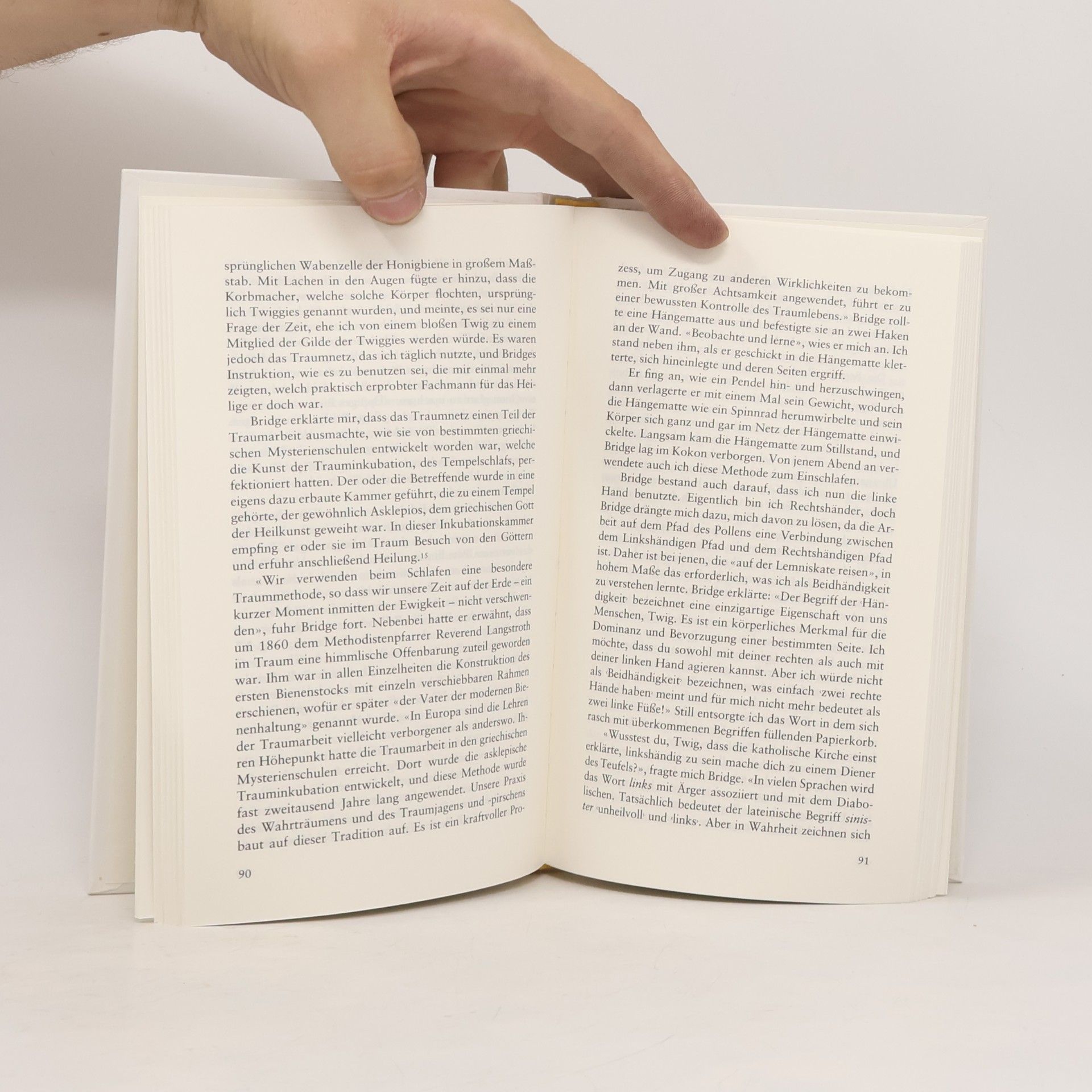 Simon Buxton Der Weg des Bienenschamanen