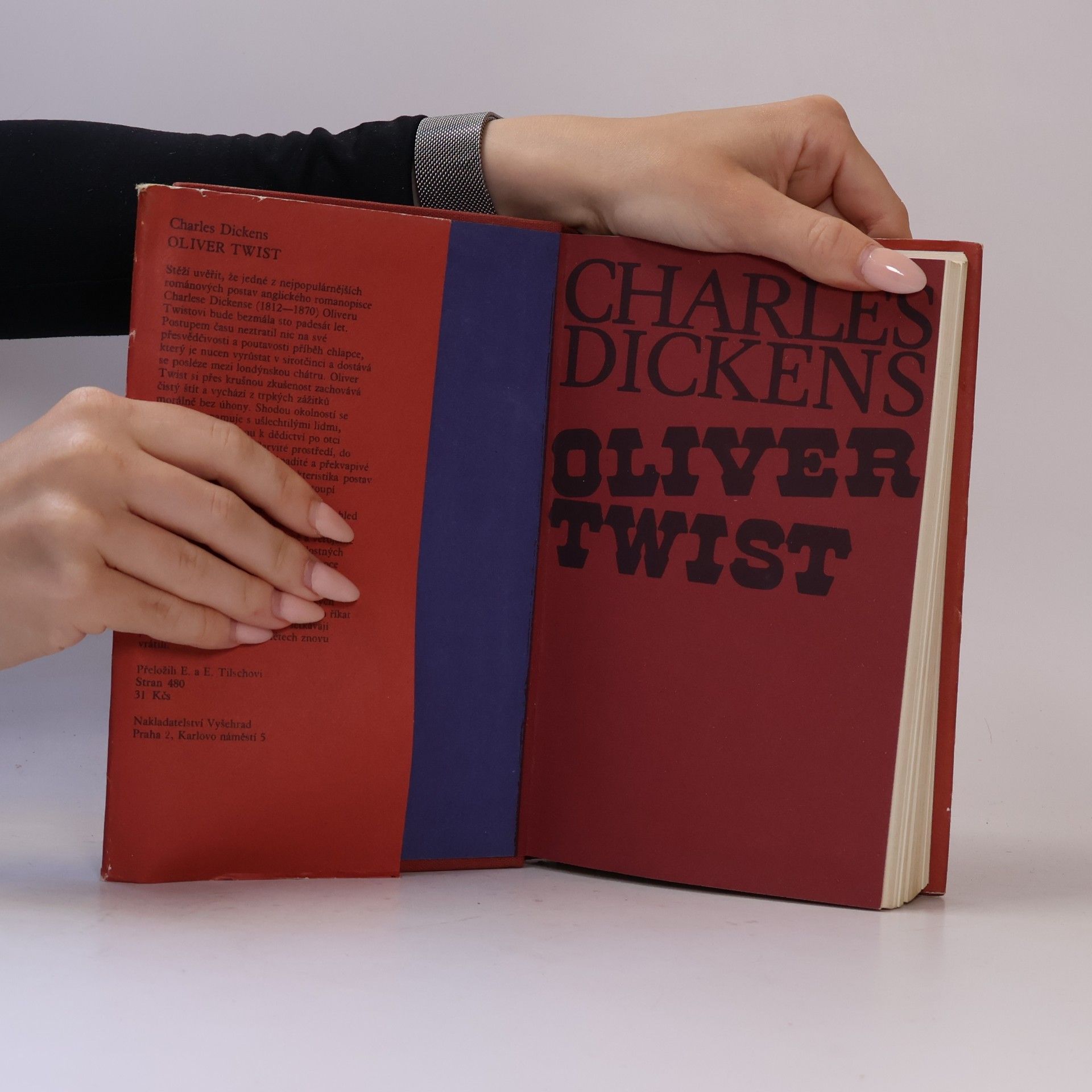Charles Dickens Oliver Twist