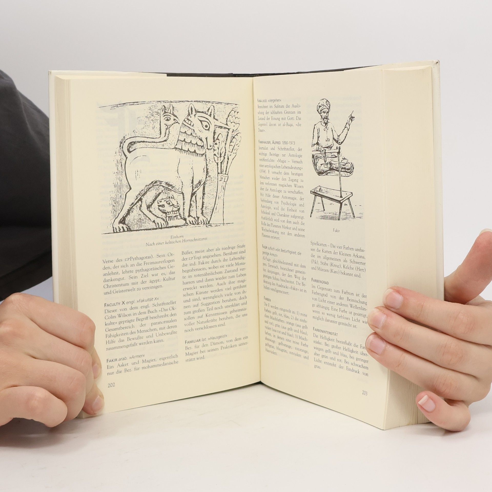 Helmut Werner Lexikon der Esoterik