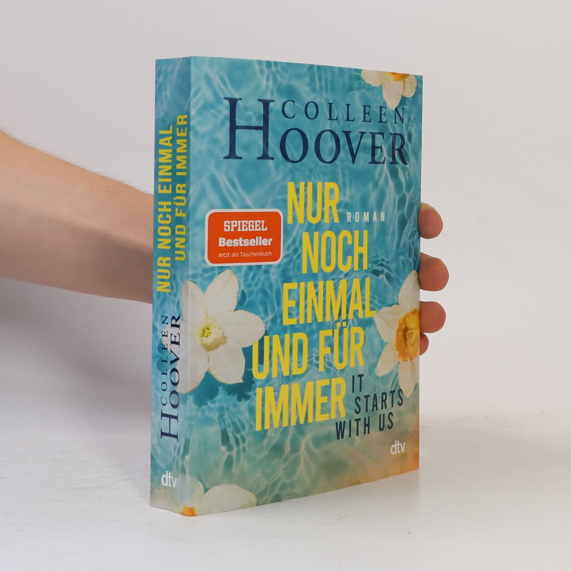 Colleen Hoover Nur noch einmal und für immer
