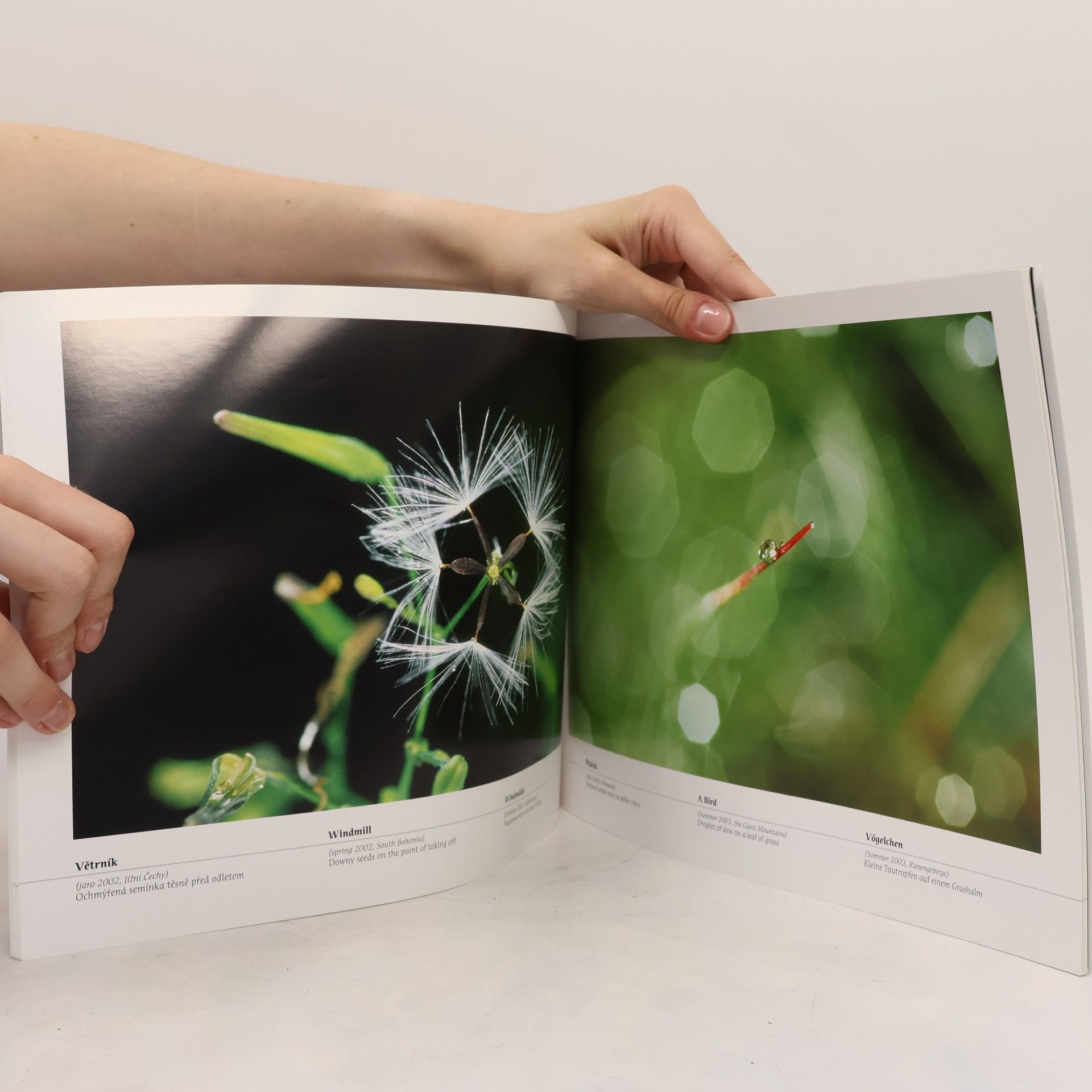 Autorenkollektiv Milan Blšťák: makrofotografie