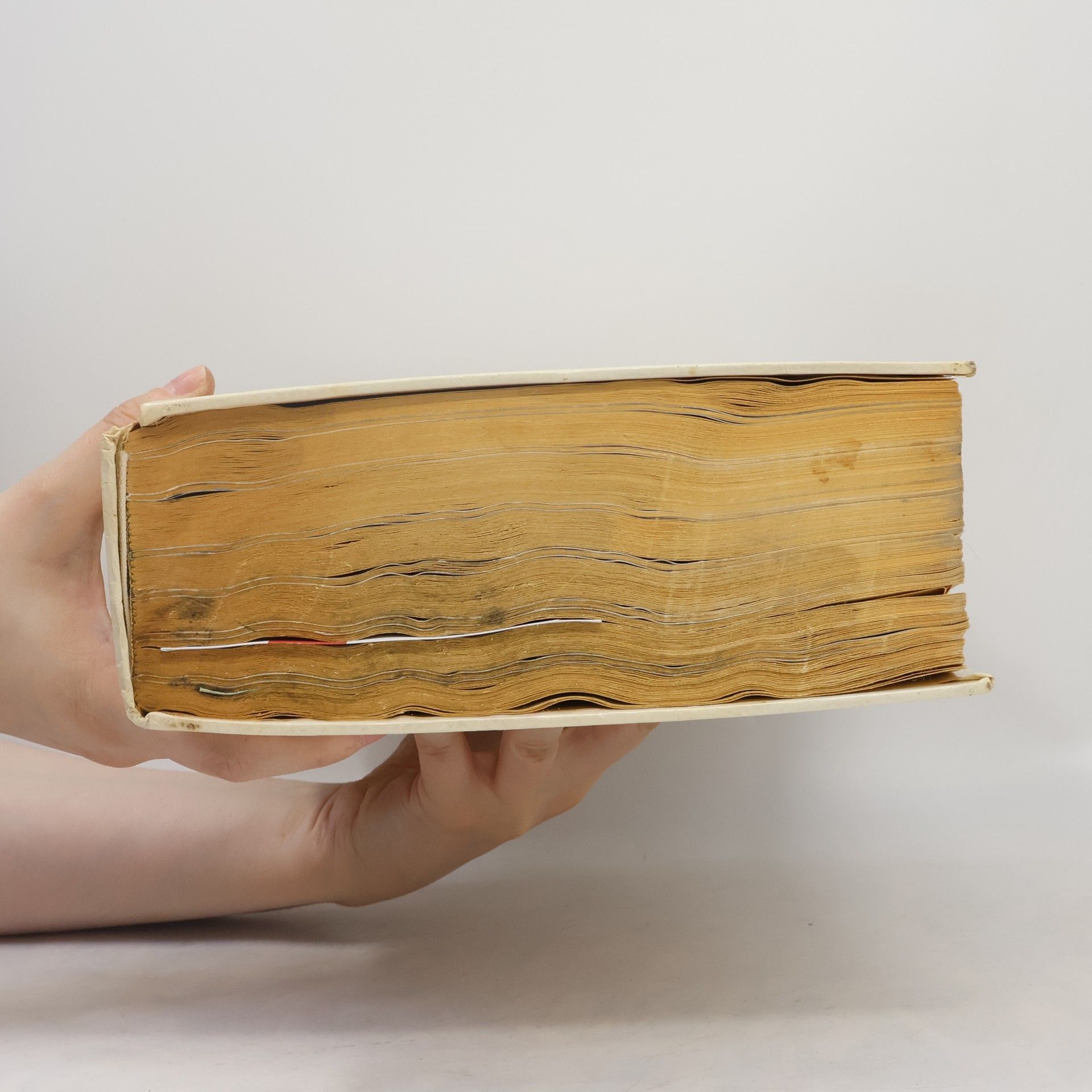 Elisabeth Schuler Grund Kochbuch