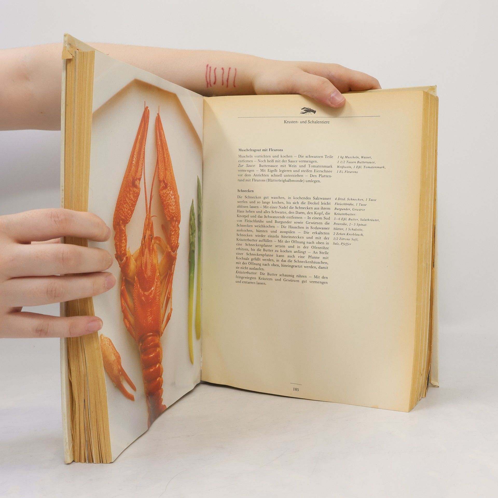 Elisabeth Schuler Grund Kochbuch