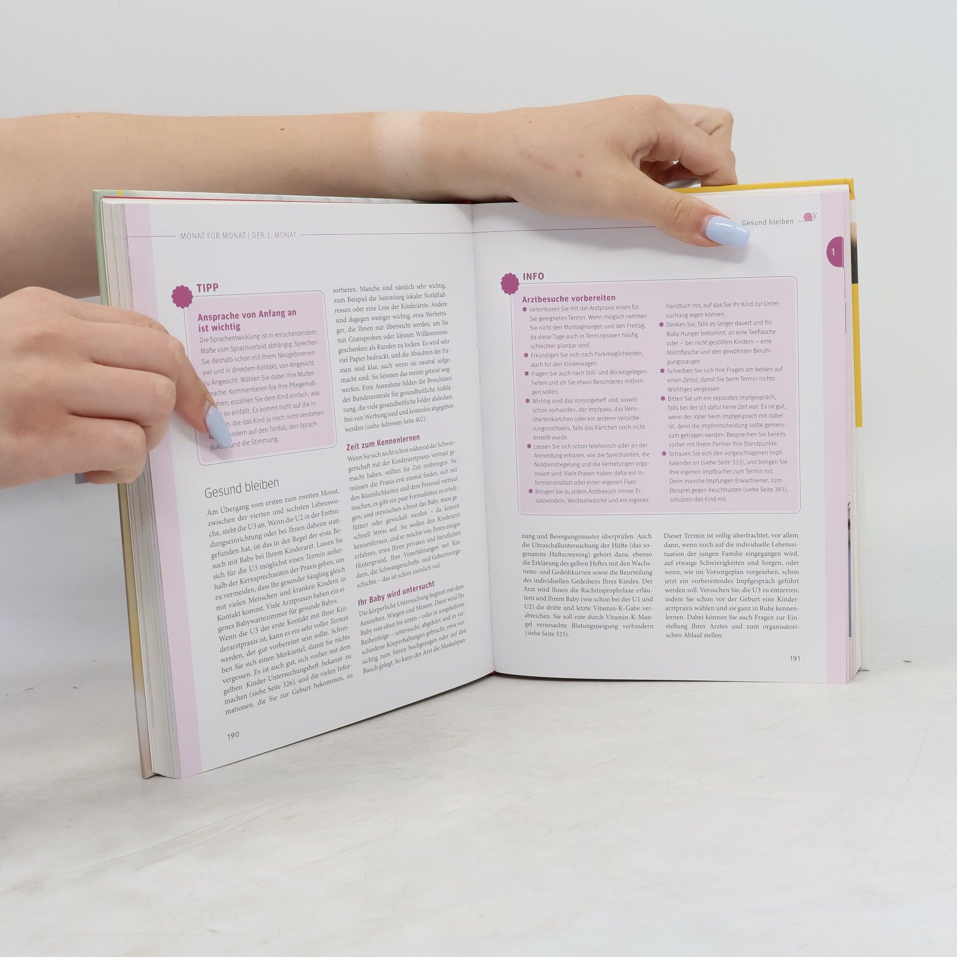 Stephan Nolte Das große Buch für Babys erstes Jahr