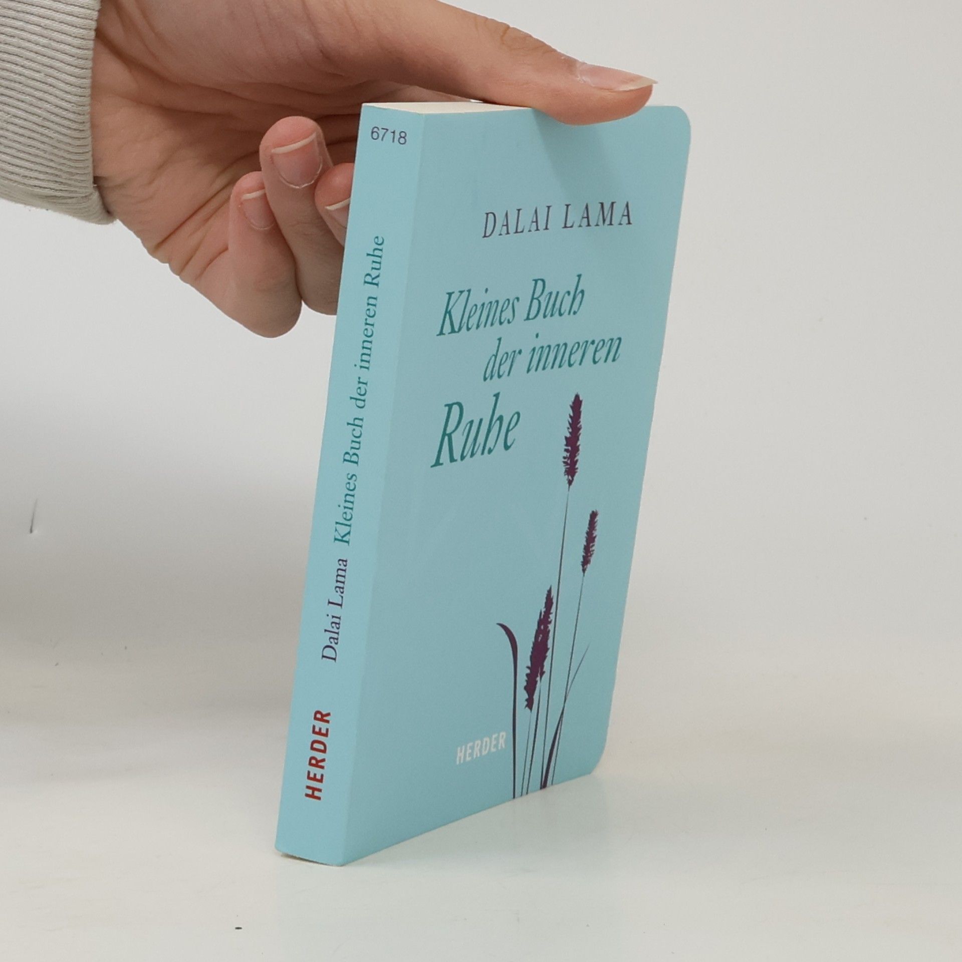 Dalajlama Kleines Buch der inneren Ruhe