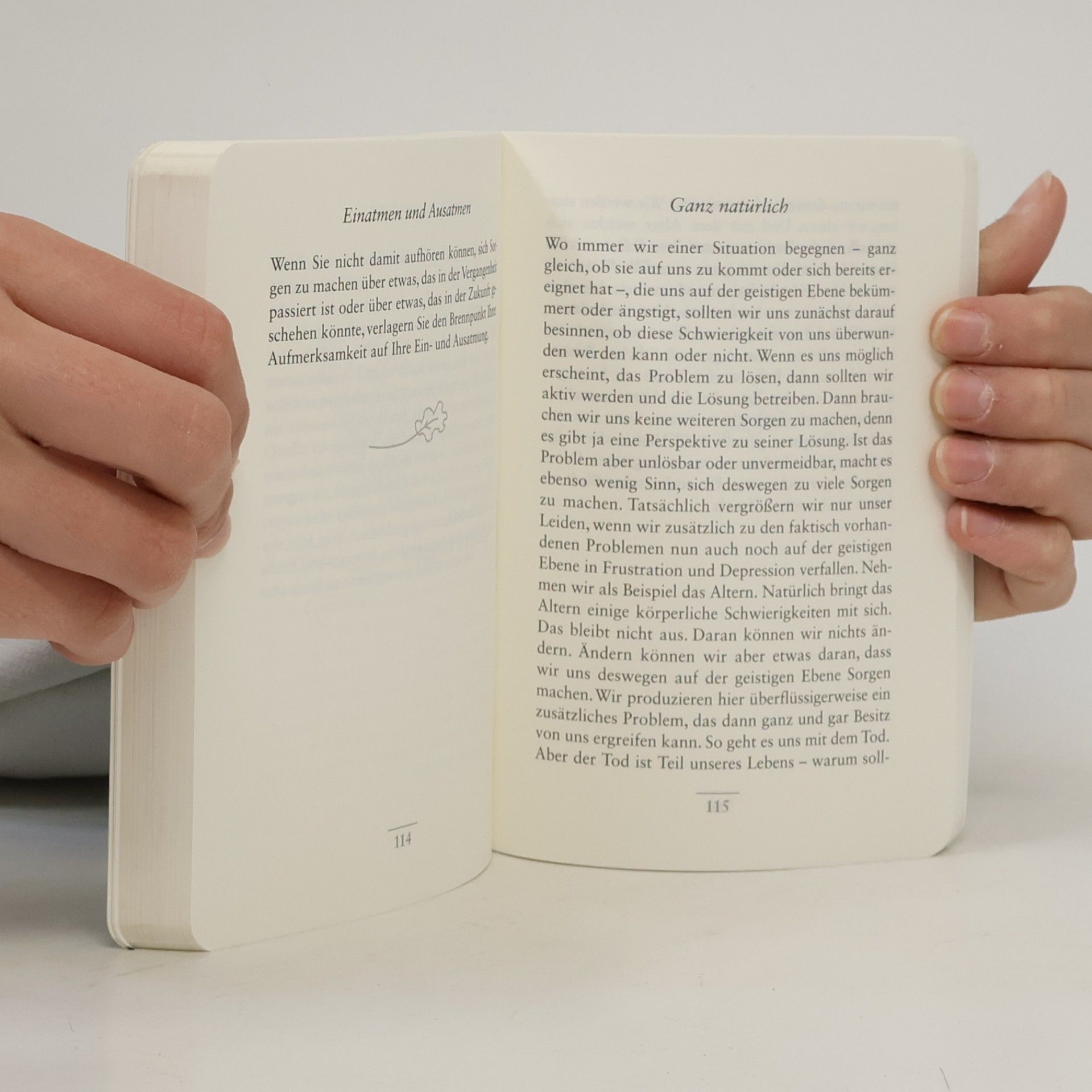 Dalajlama Kleines Buch der inneren Ruhe