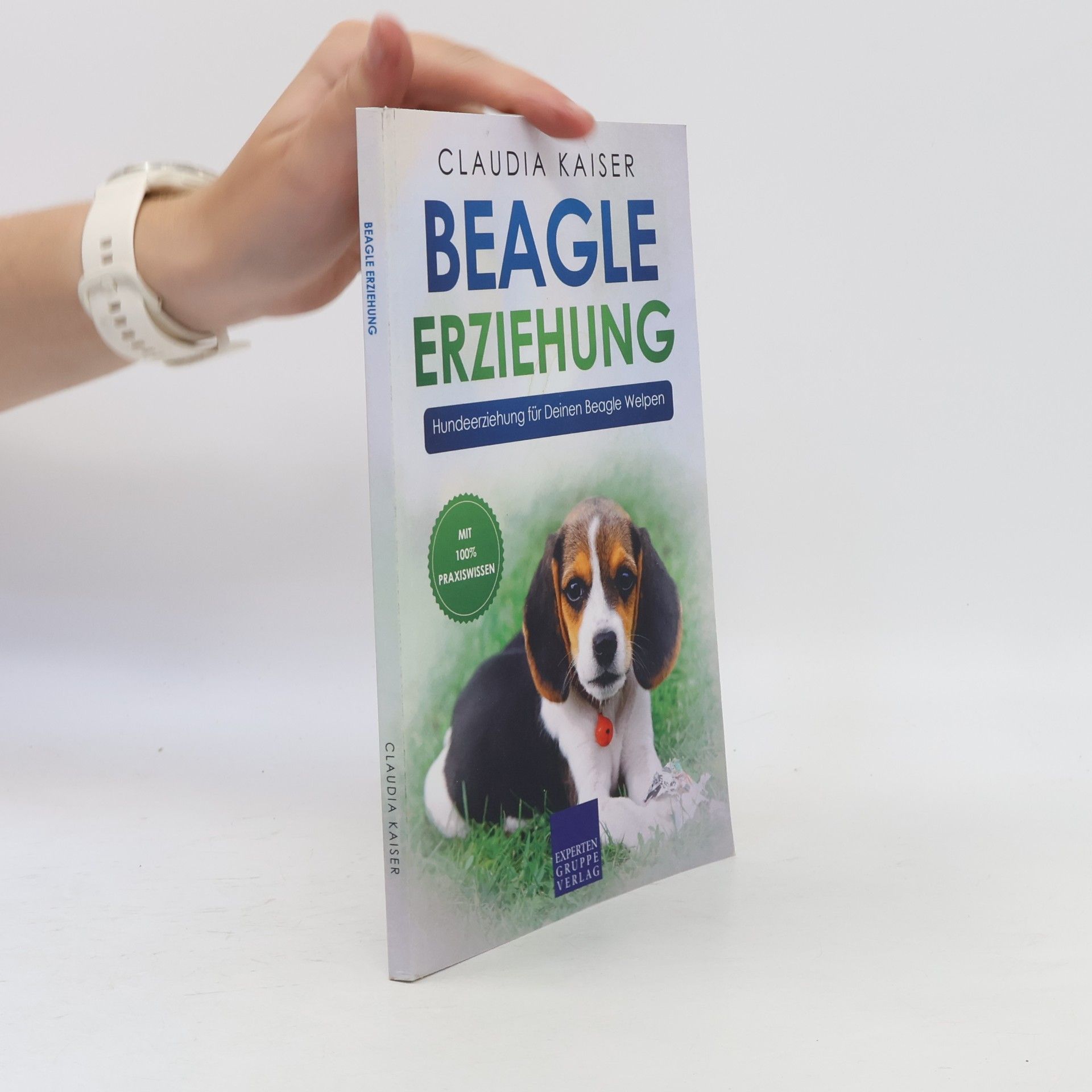 Beagle Erziehung