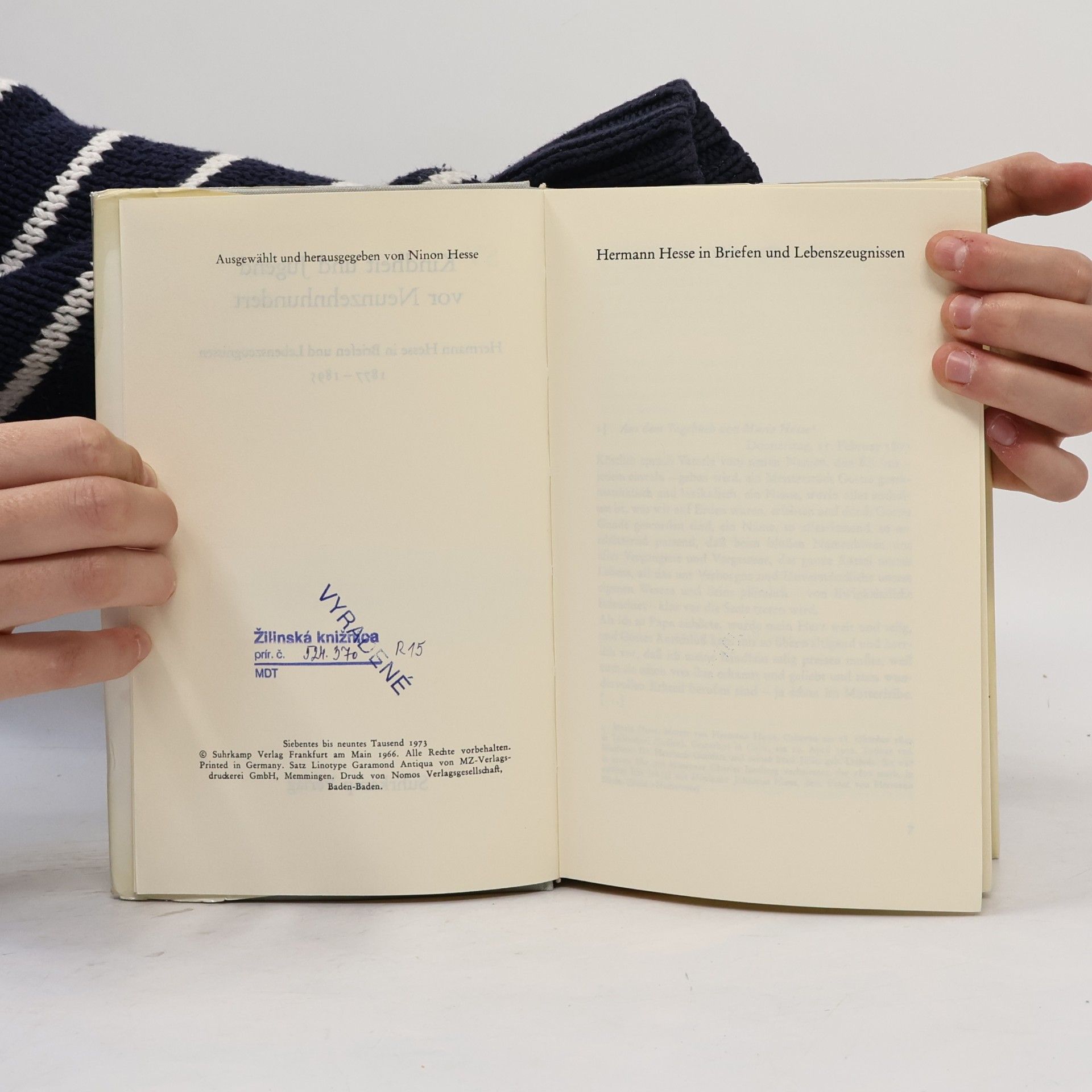 Hermann Hesse Kindheit und Jugend vor Neunzehnhundert