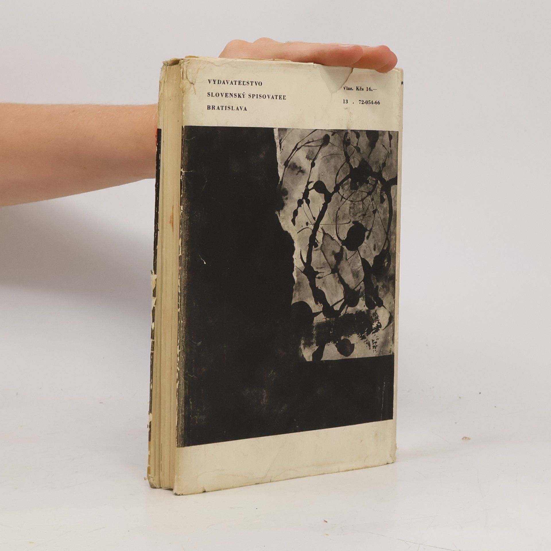 Erich Maria Remarque Noc v Lisabone