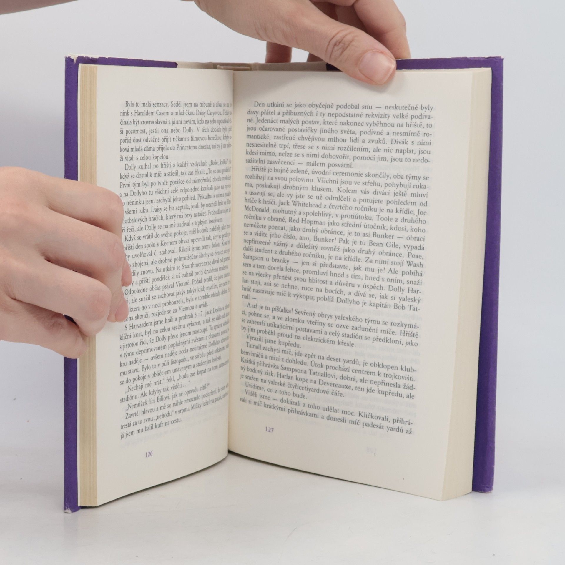 F. Scott Fitzgerald Takový pěkný pár a jiné povídky