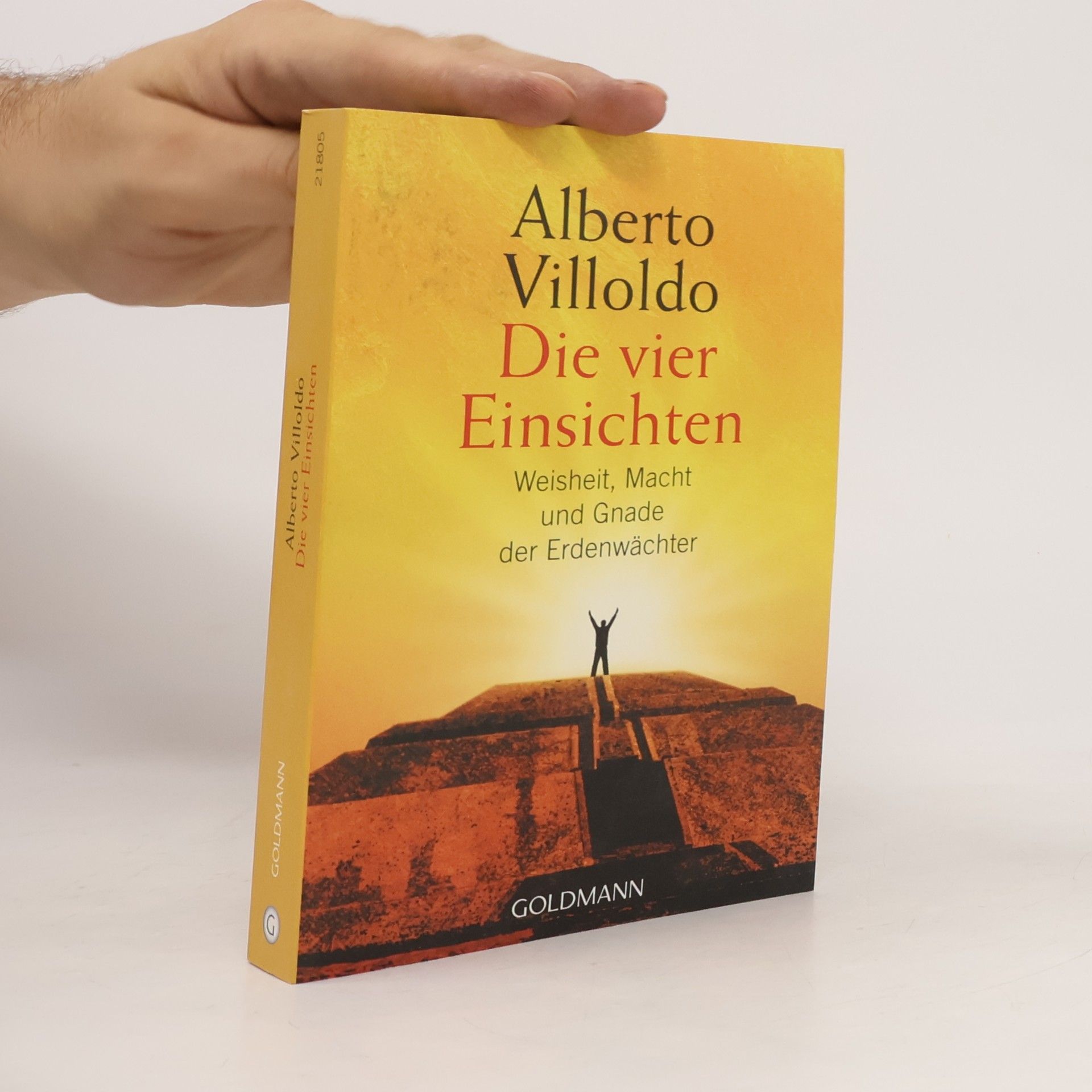 Alberto Villoldo Die vier Einsichten