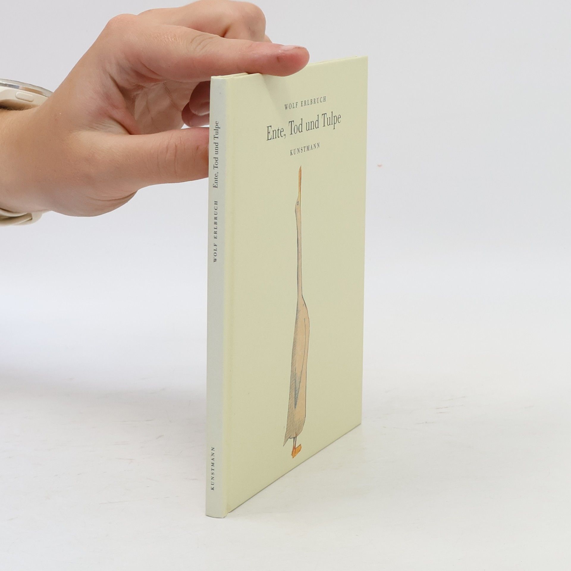 Wolf Erlbruch Ente, Tod und Tulpe, kleine Ausgabe
