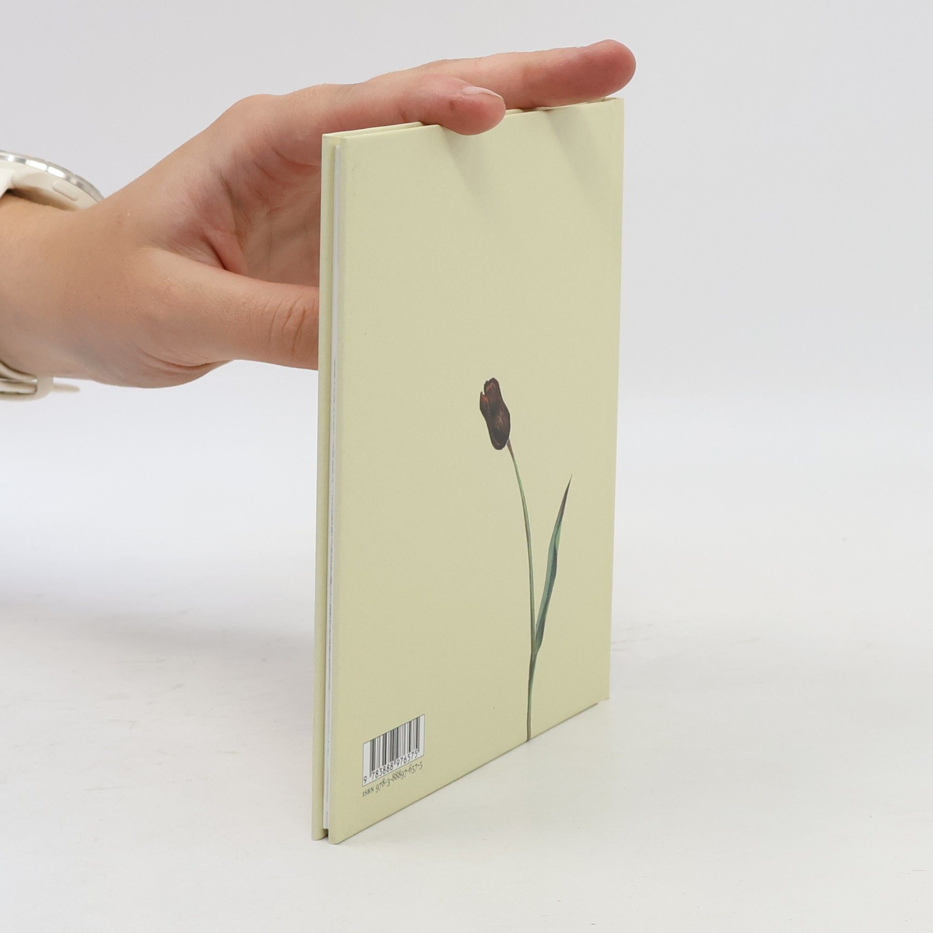 Wolf Erlbruch Ente, Tod und Tulpe, kleine Ausgabe