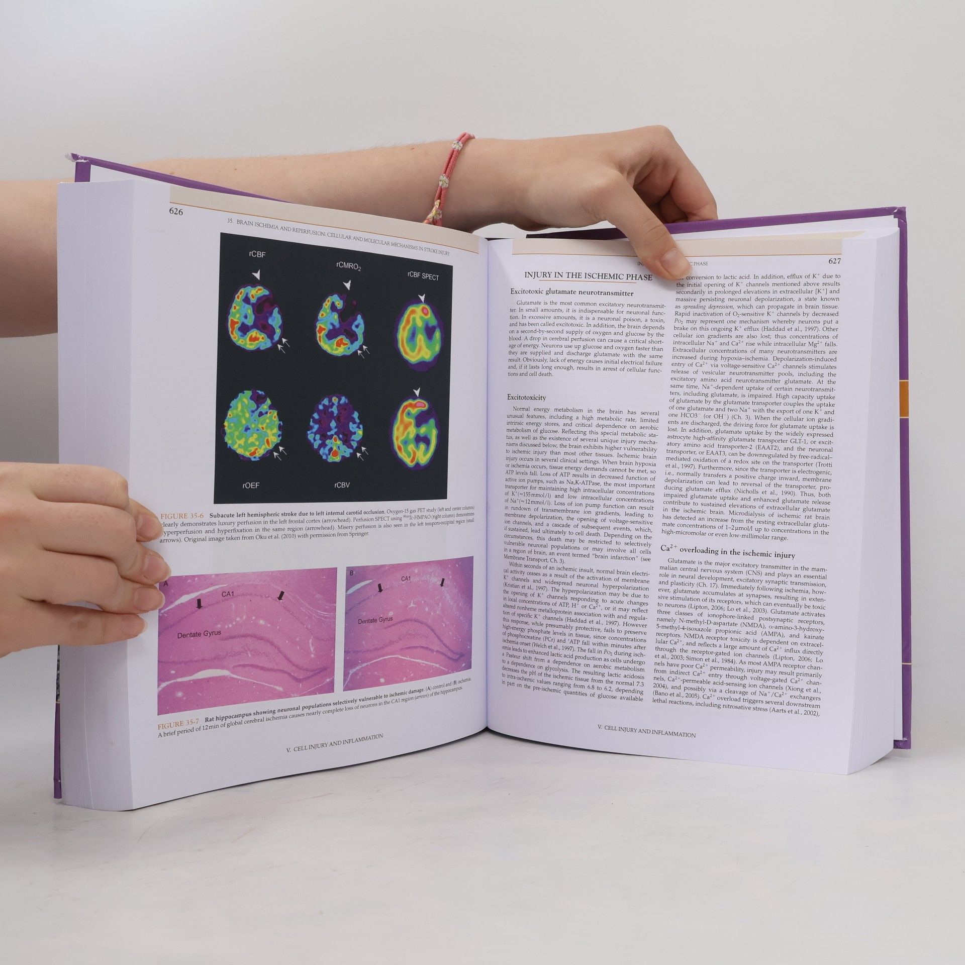 Scott T. Brady Basic Neurochemistry