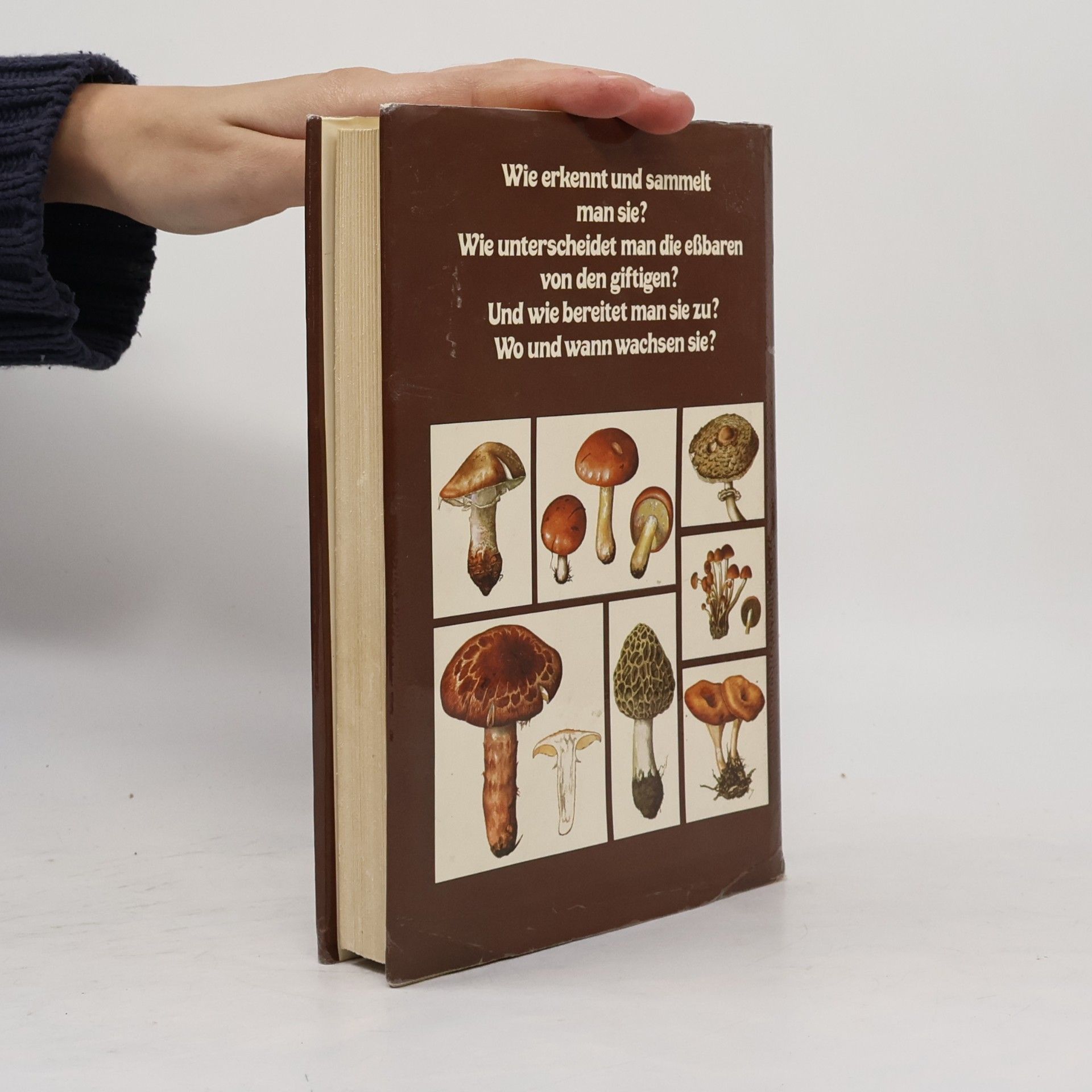 Antonín Příhoda Handbuch der Pilze