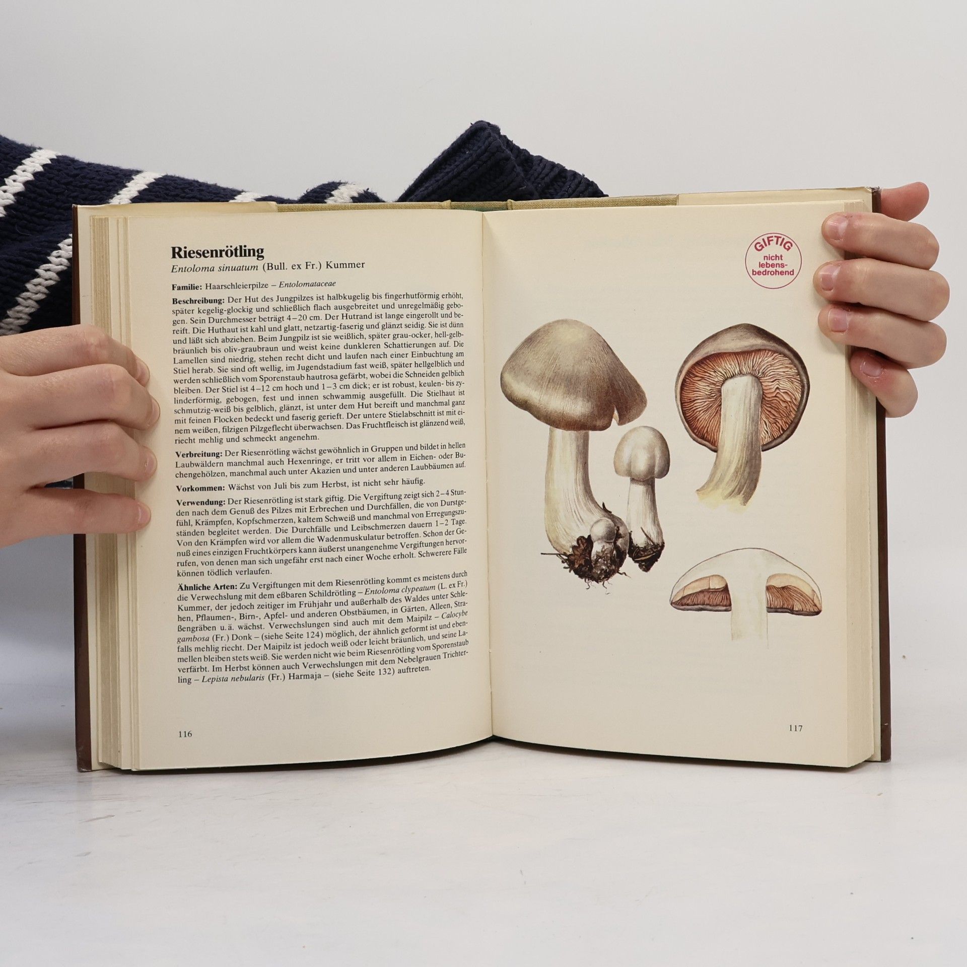 Antonín Příhoda Handbuch der Pilze