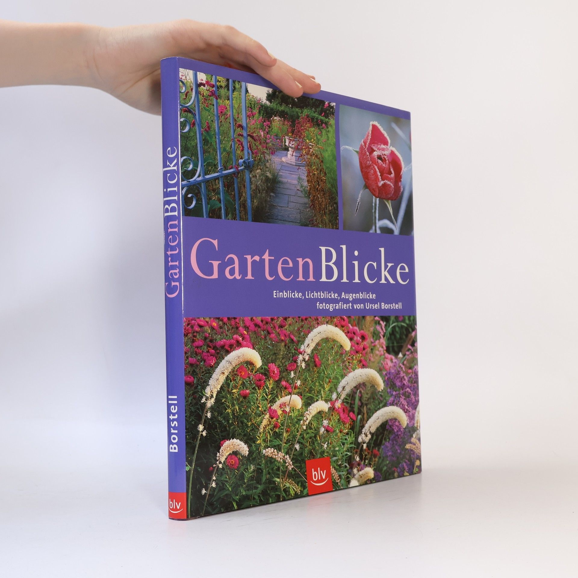 Silke Kluth GartenBlicke