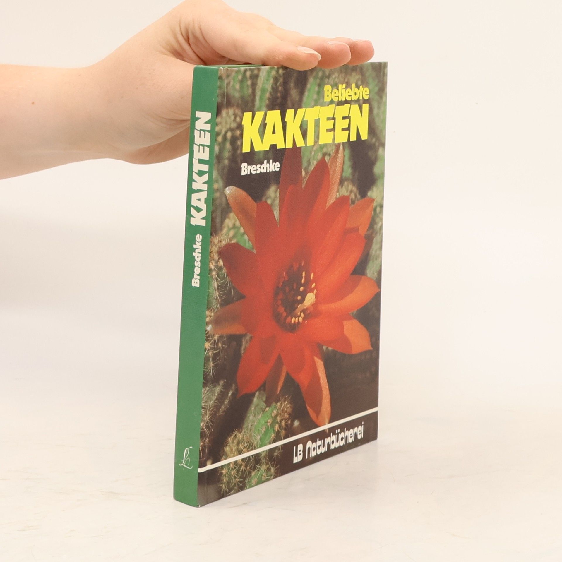 Beliebte Kakteen