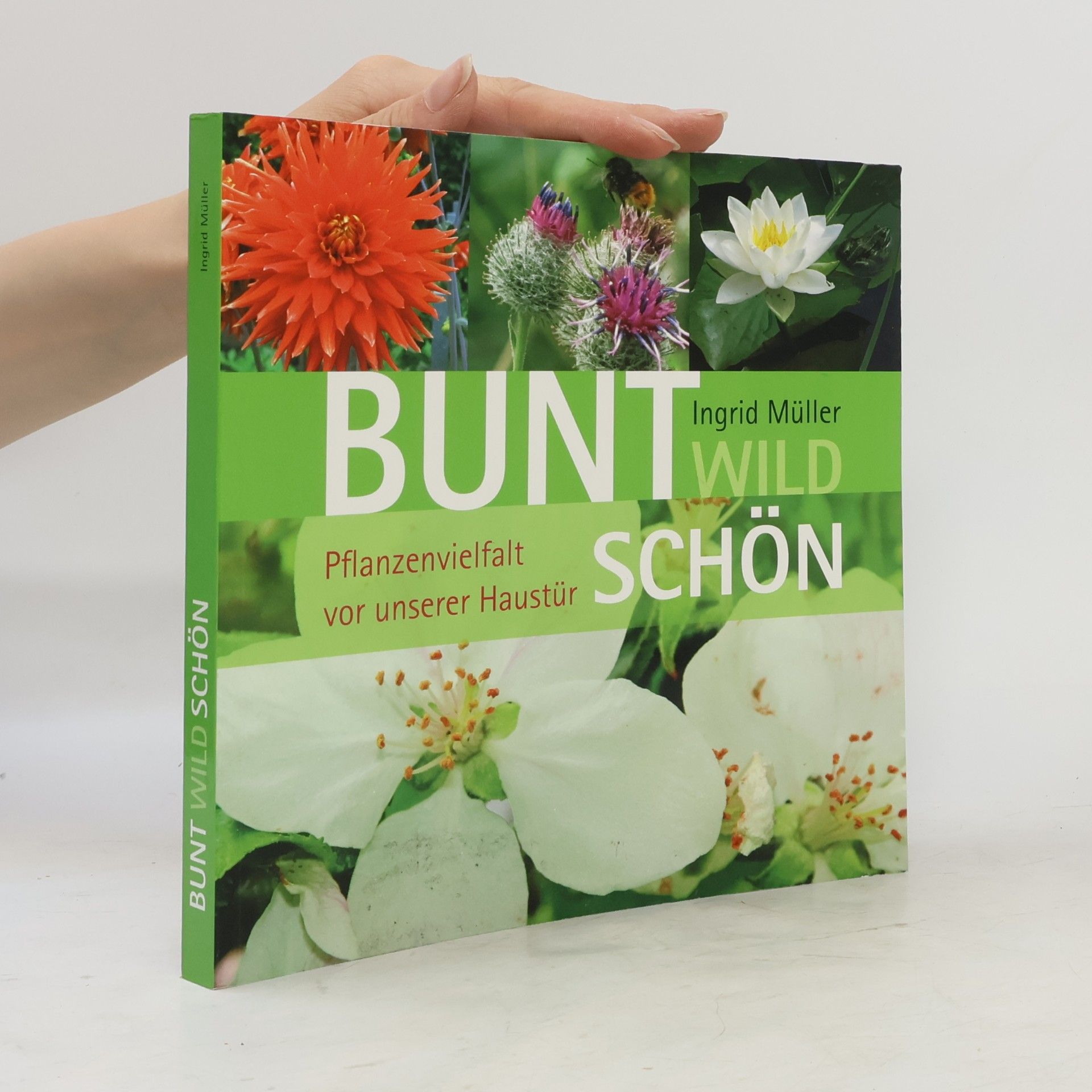 Bunt, wild, schön