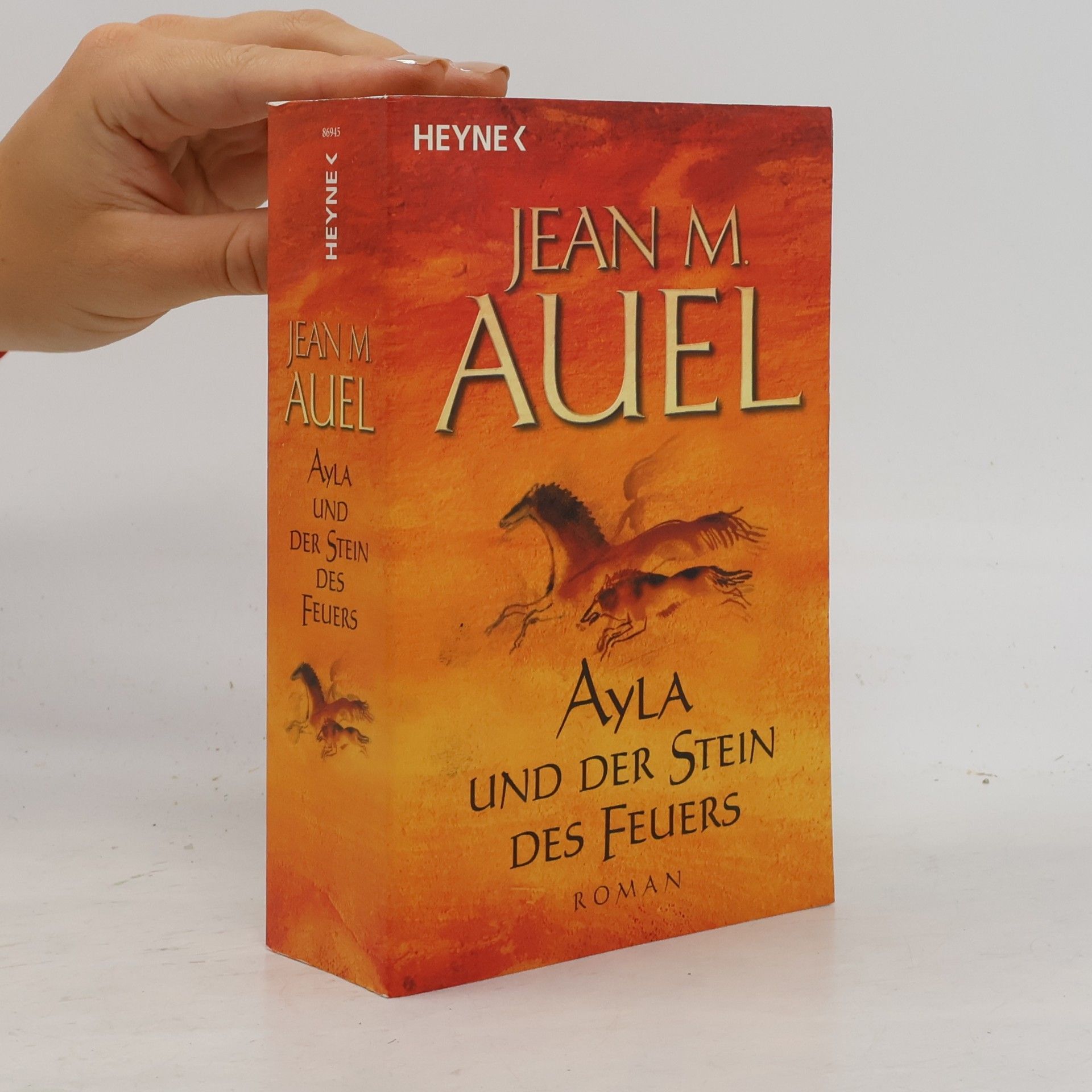 Jean M. Auelová Ayla und der Stein des Feuers