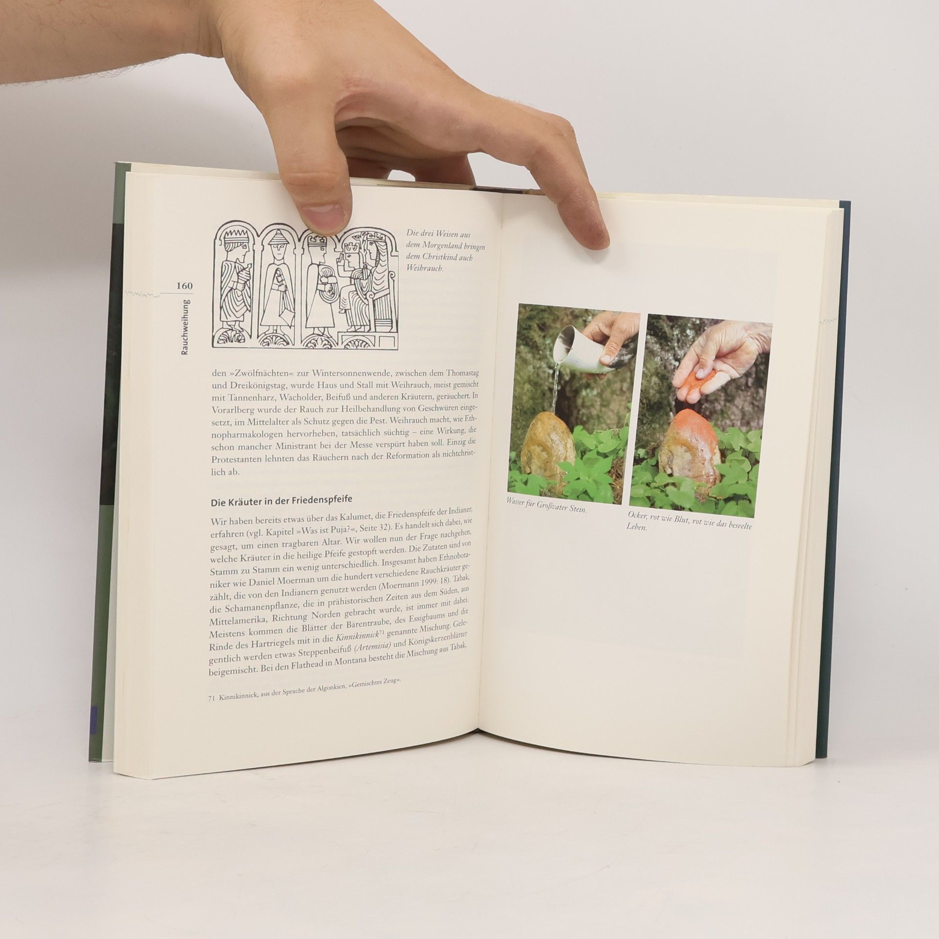 Wolf Dieter Storl Naturrituale