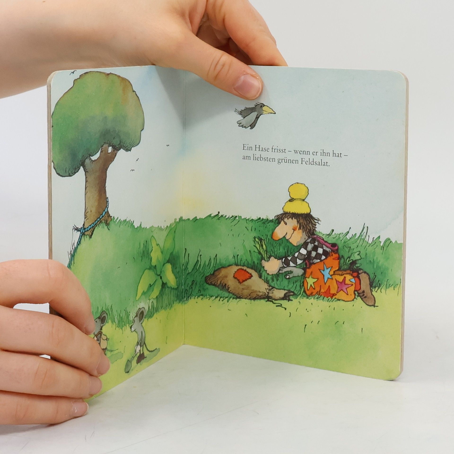 Autores varios Kasper Mütze holt einen Hasen